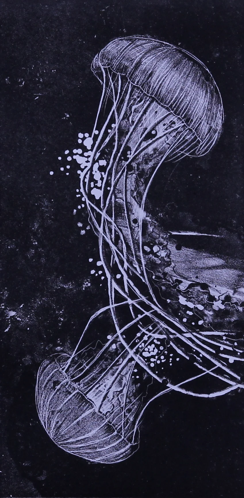 LITHOGRAPHS AVAILABLE