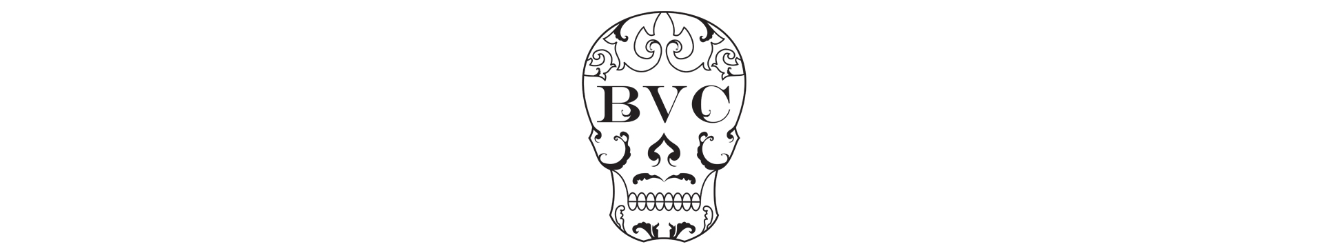 Skull Web Header.jpg