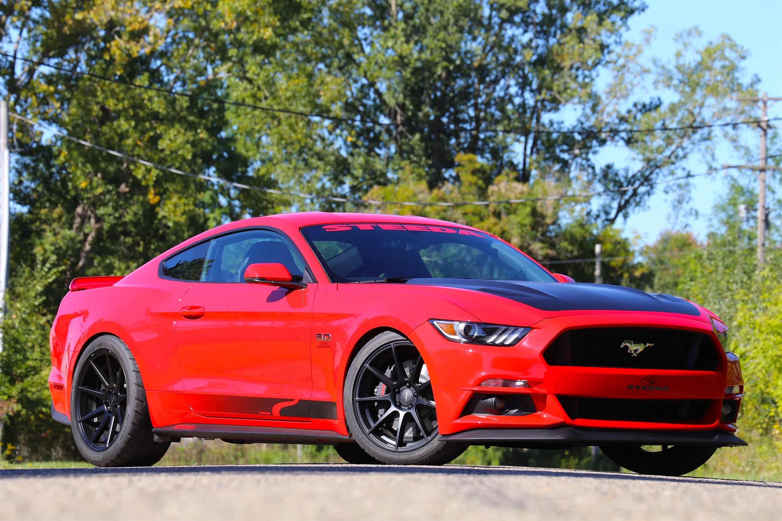 Steeda Q500 Enforcer