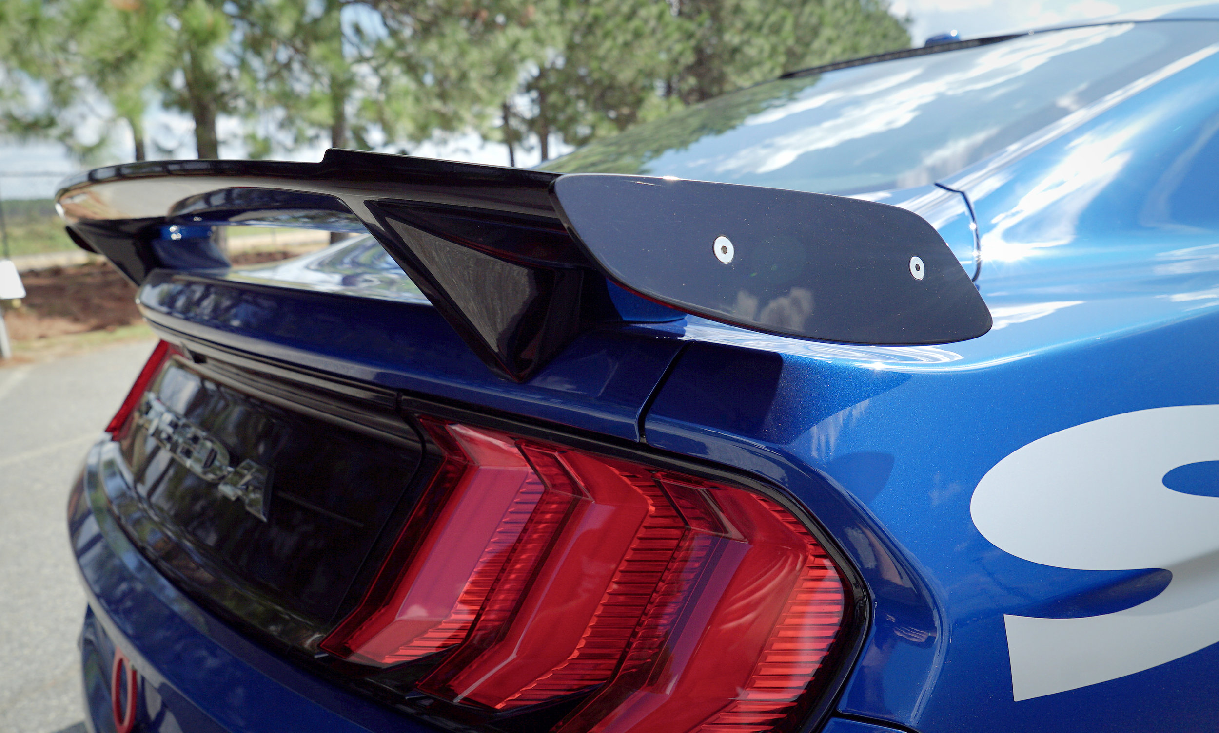 Blue Q850 StreetFighter 11.jpg