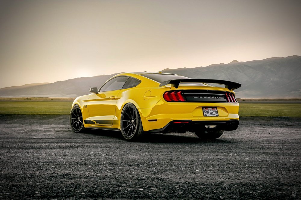 2015 - 2025 Model Years Steeda Q500 Enforcer™ - Performance Redefined ...