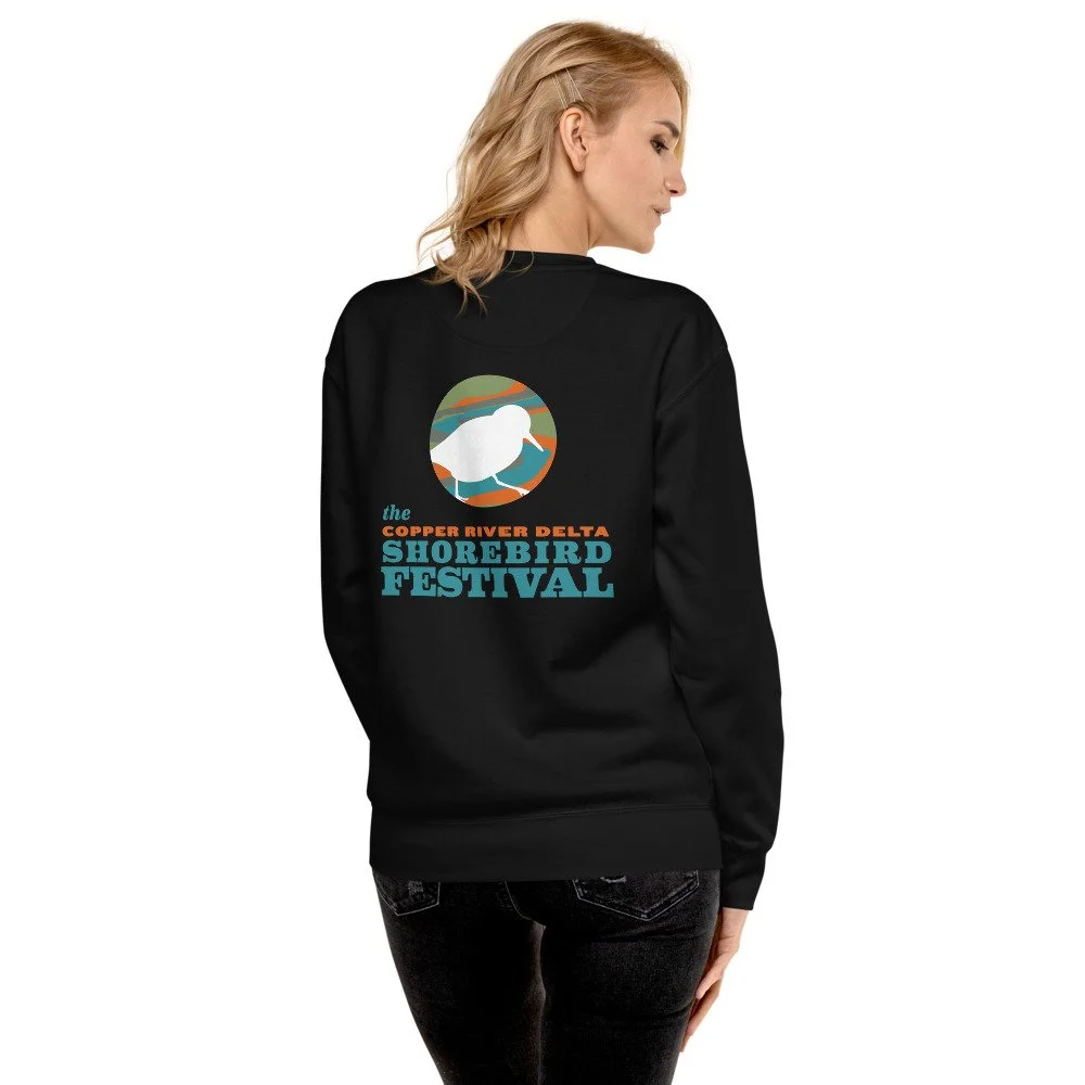 unisex-fleece-pullover-black-back-61e9c34f33d63.jpg