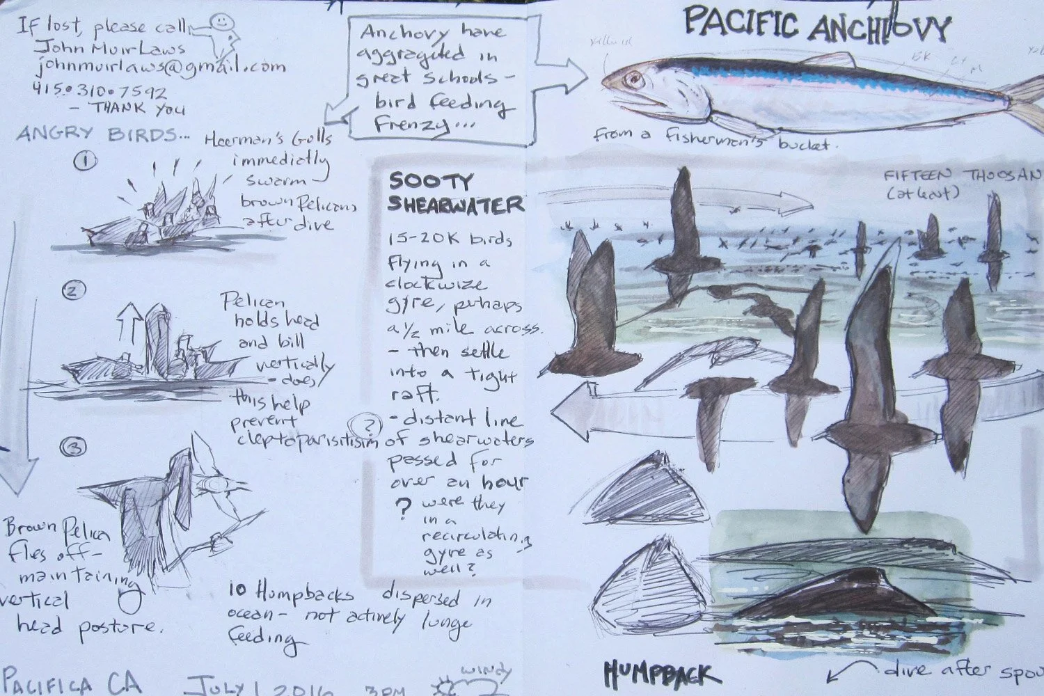 Net Loft Workshop:  Nature Journaling at Hartney Bay- Field Session 