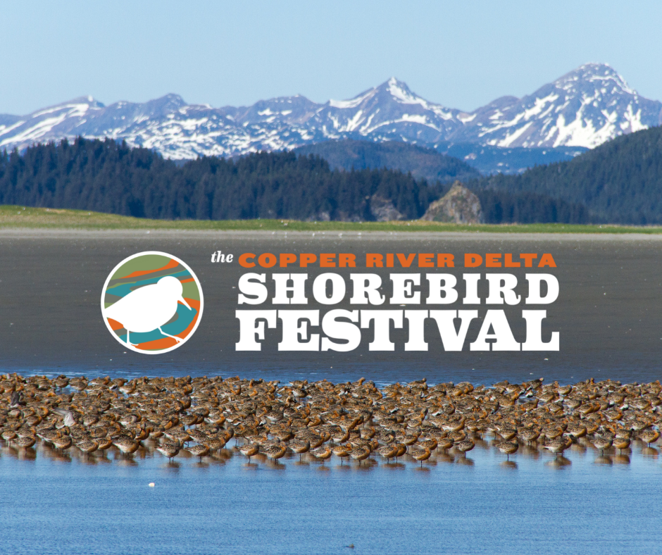Shorebird Email Banner (3).png
