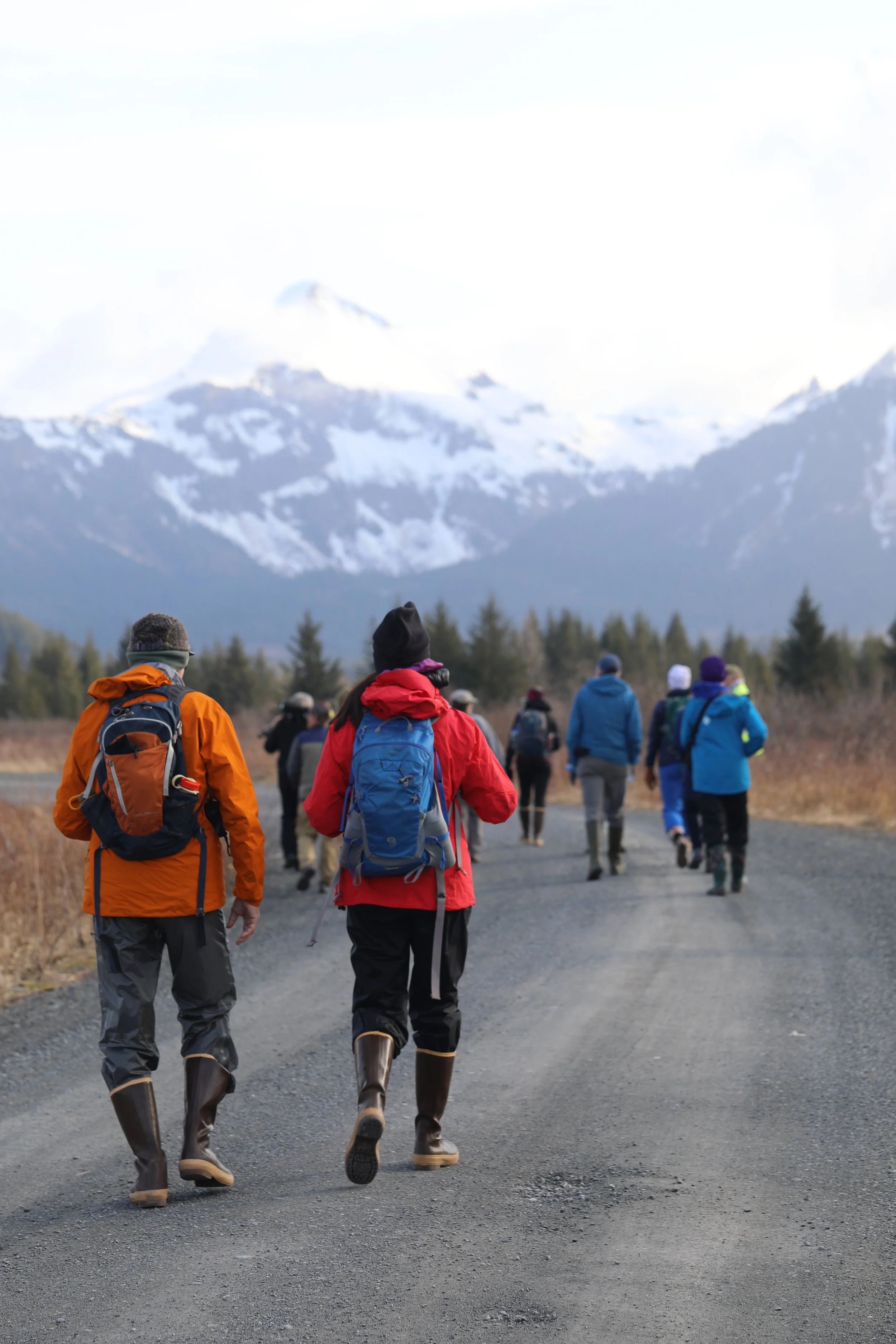 Great Cordova Birding Challenge