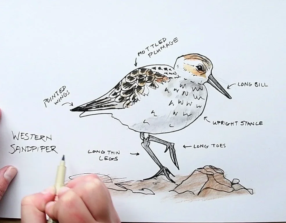 Group Nature Journaling