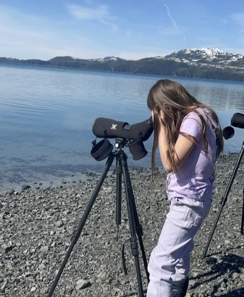 Discover Cordova: Shorebird Frenzy