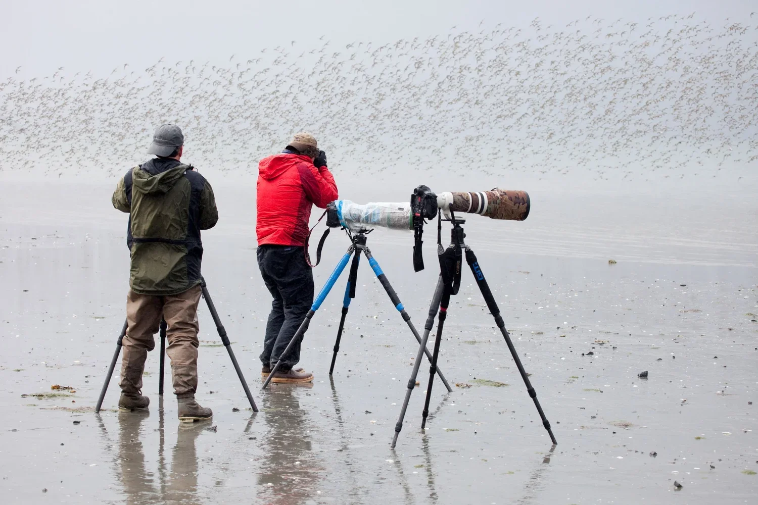 PWSSC Scavenger Hunt