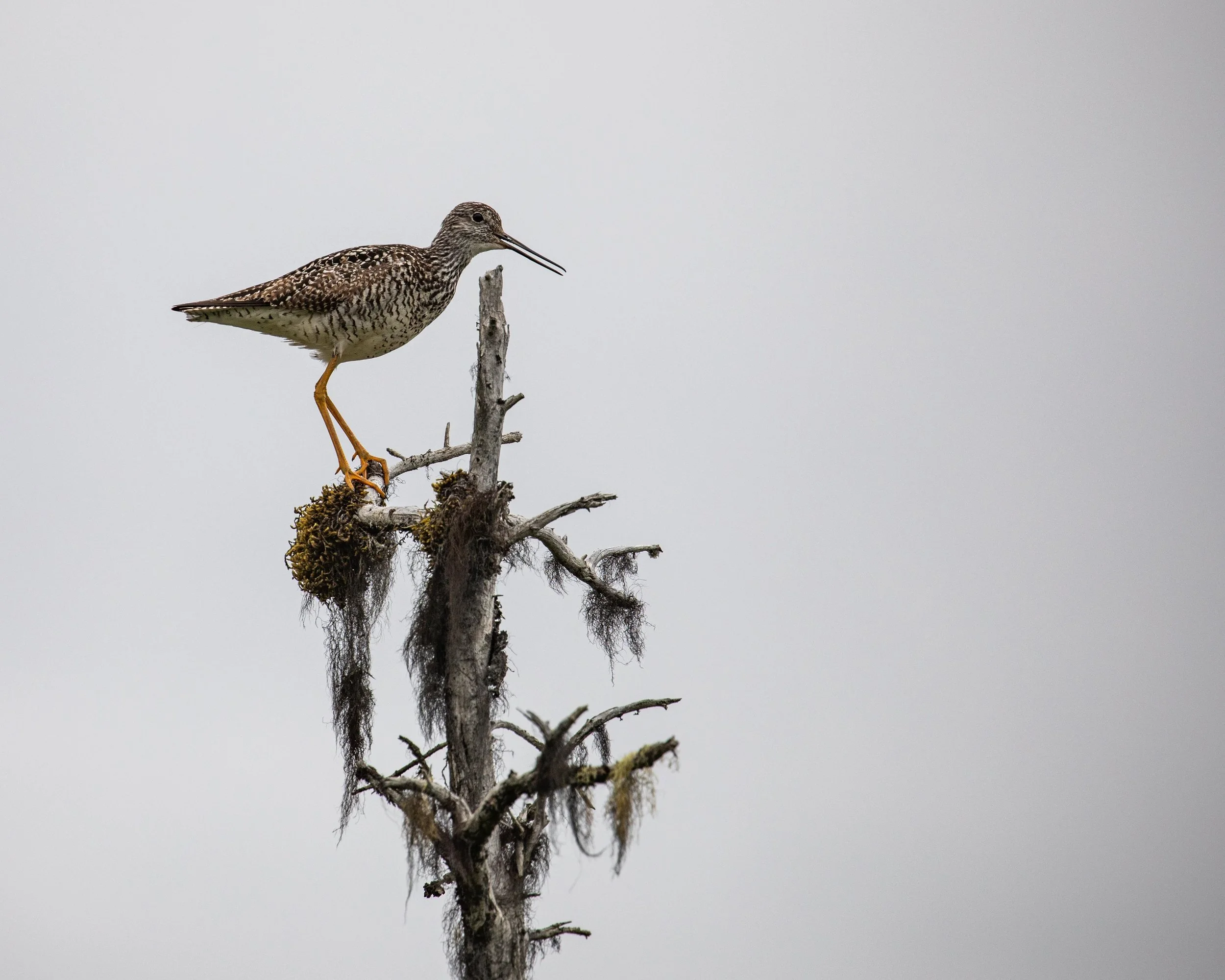 "Through Our Eyes" Student Photo Showcase
