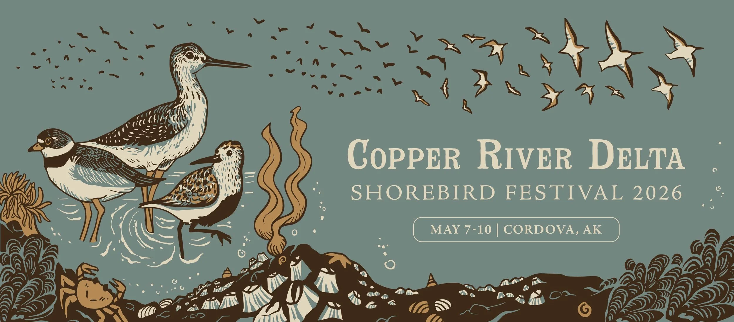 The Great Cordova Birding Challenge