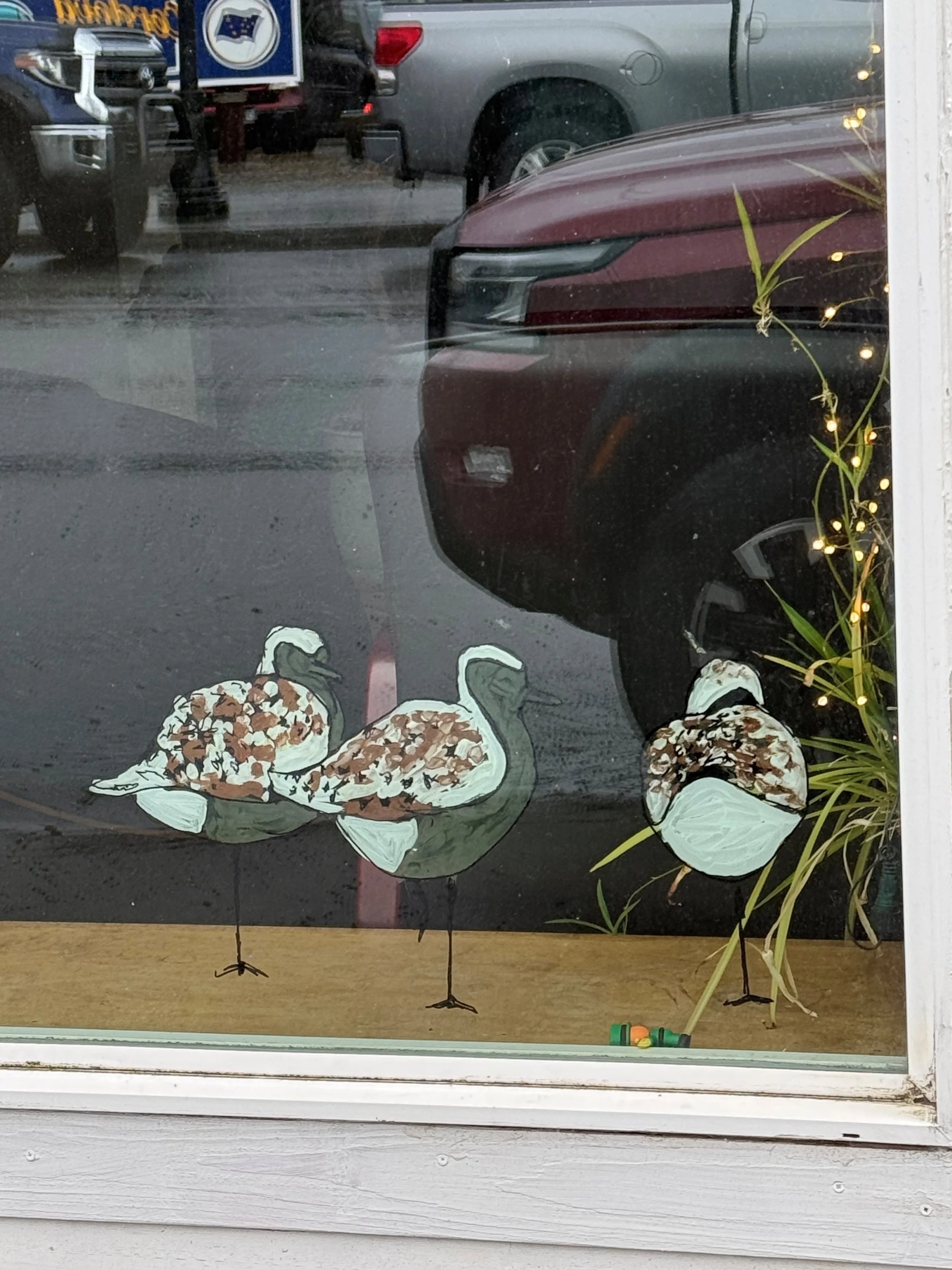BIRD NERD Scavenger Hunt