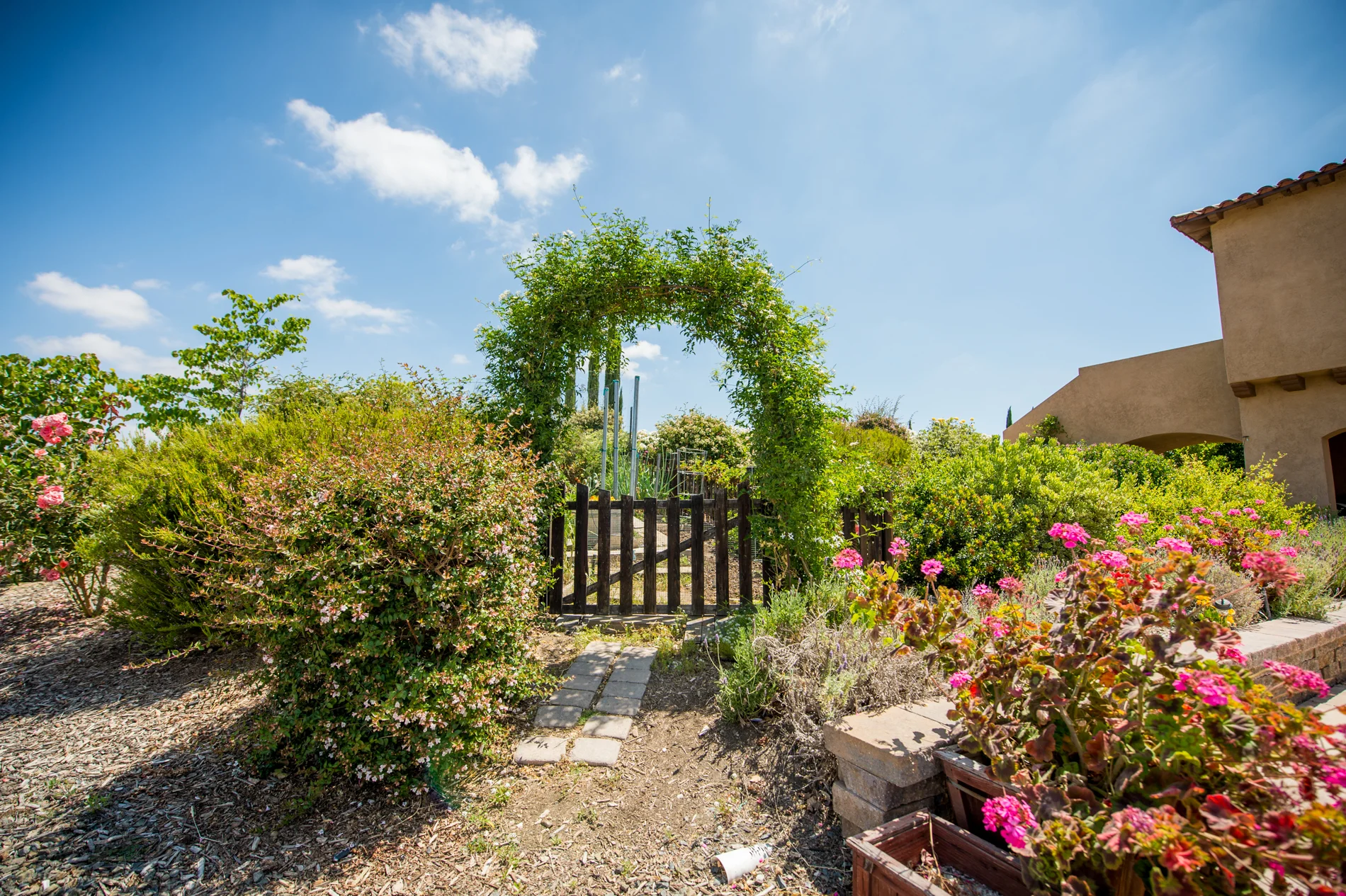 The GBV family garden in full bloom.