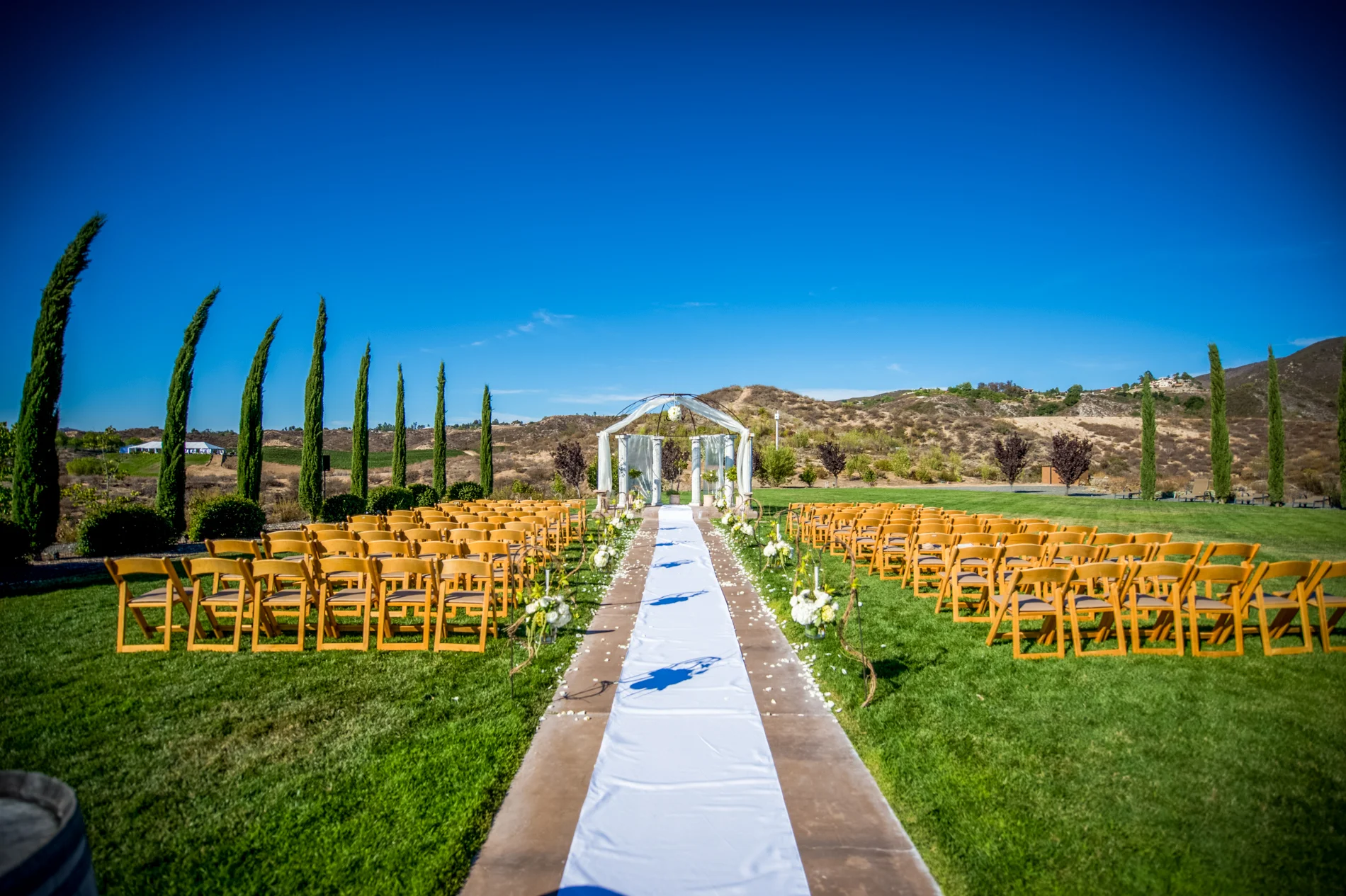 Gershon Bachus Weddings 101.jpg
