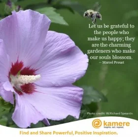 let-us-be-grateful-280x278.jpg