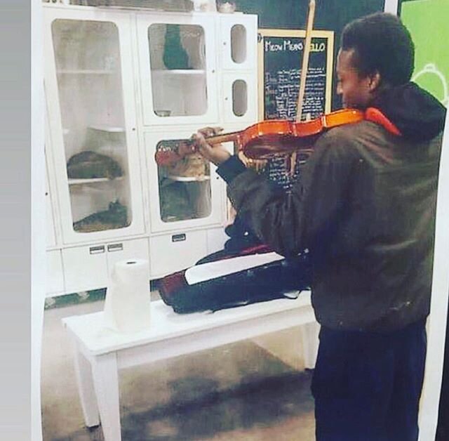 This beautiful young man, Elijah Mcclain, a violinist that spent his lunch breaks at local animal shelters, putting on concerts for cats and dogs because he believed music would help soothe their anxiety, passed away after being detained by police fo
