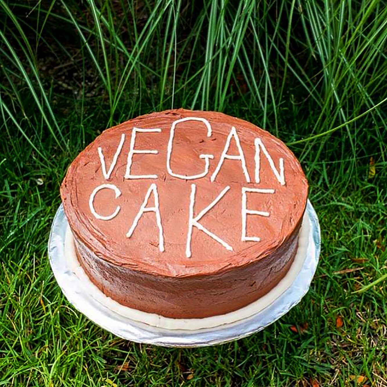 vegan cake.jpg