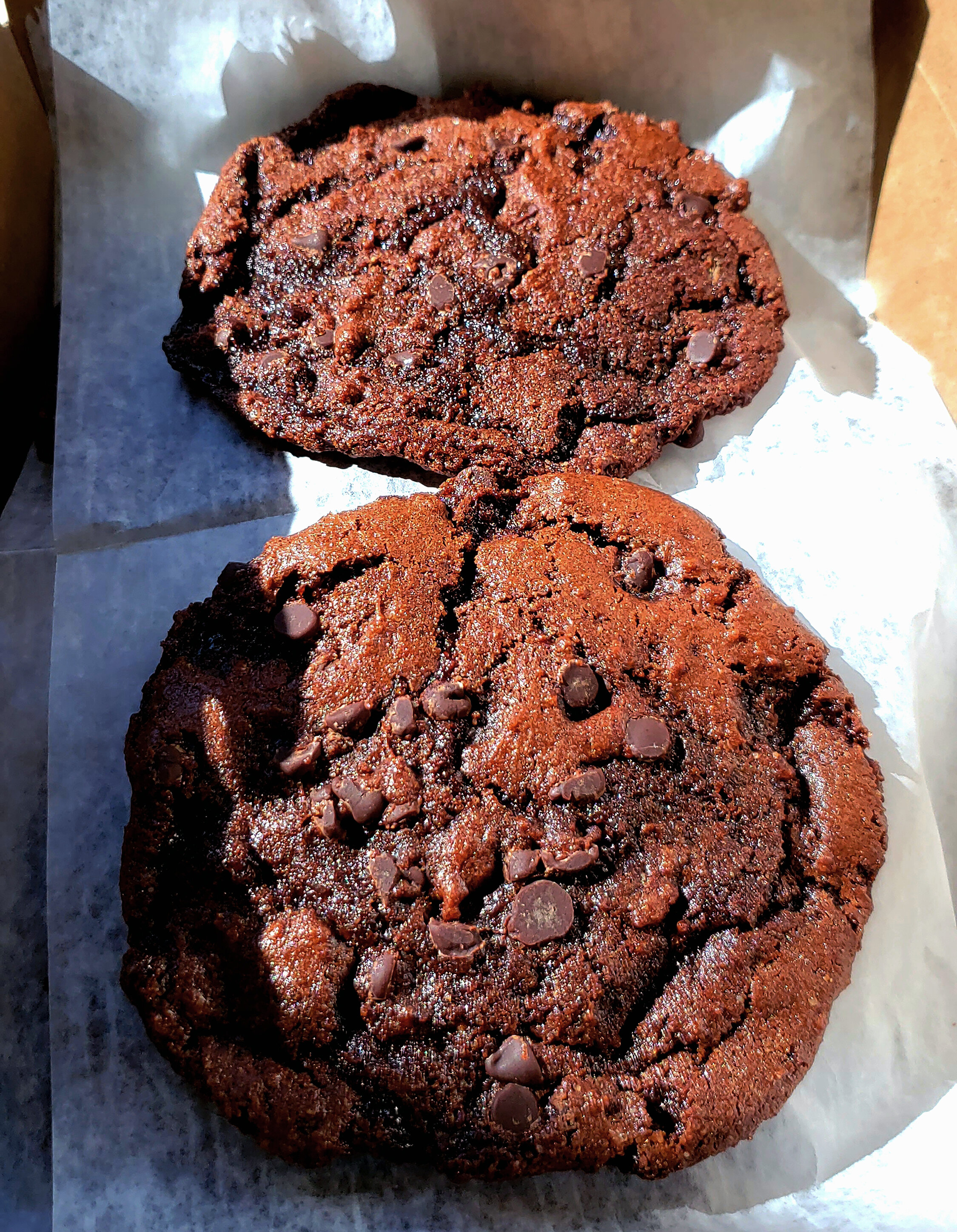 double choc cookies.jpg