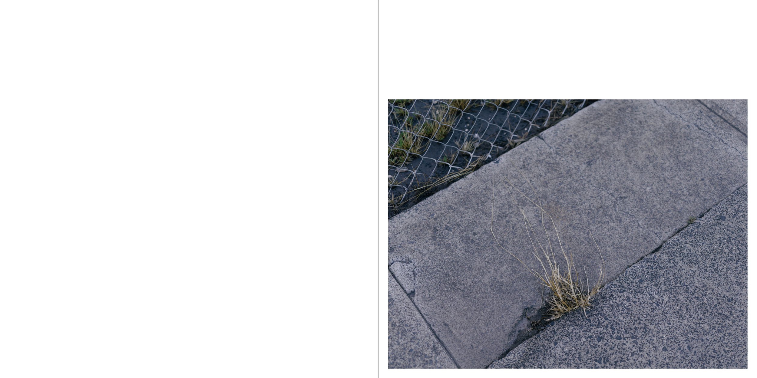 Spread-09.png