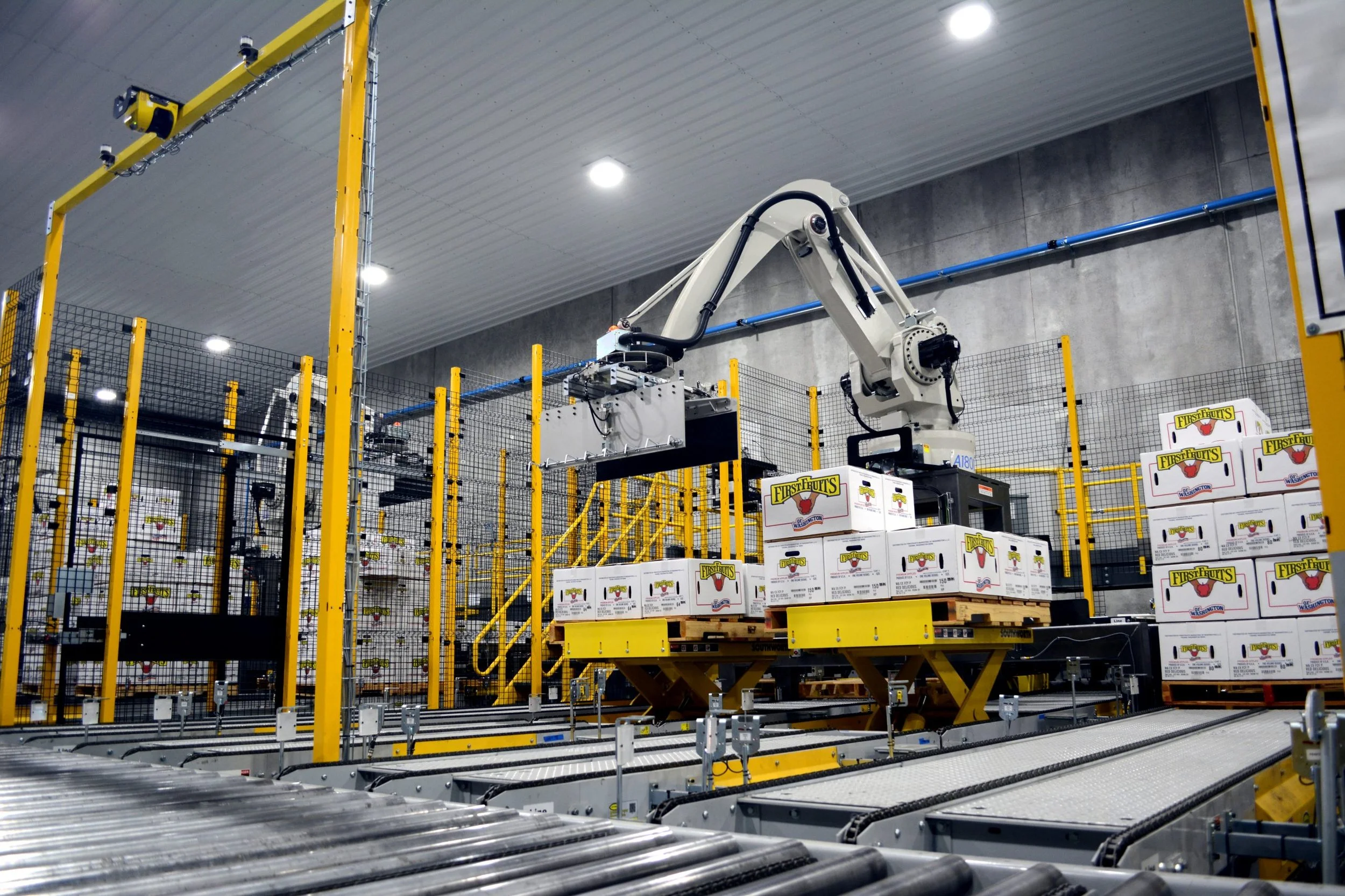 Robot Palletizer Image.jpeg