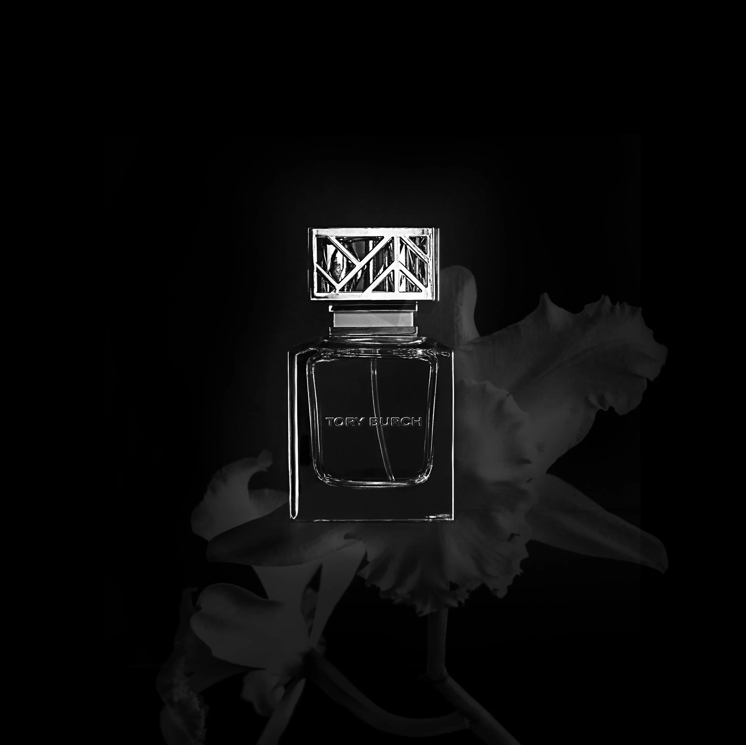 yory burch_BW.jpg