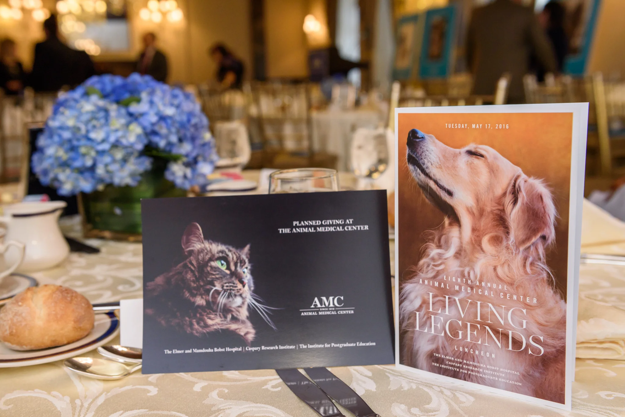 NY170516Luncheon AMC Fundaising 005.jpg