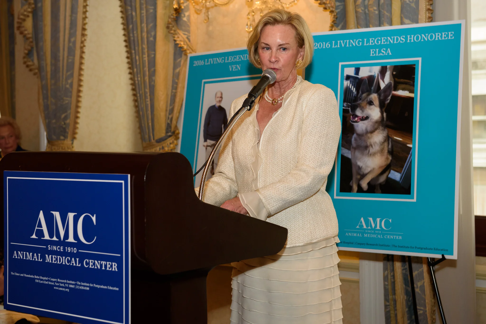 NY170516Luncheon AMC 219.jpg
