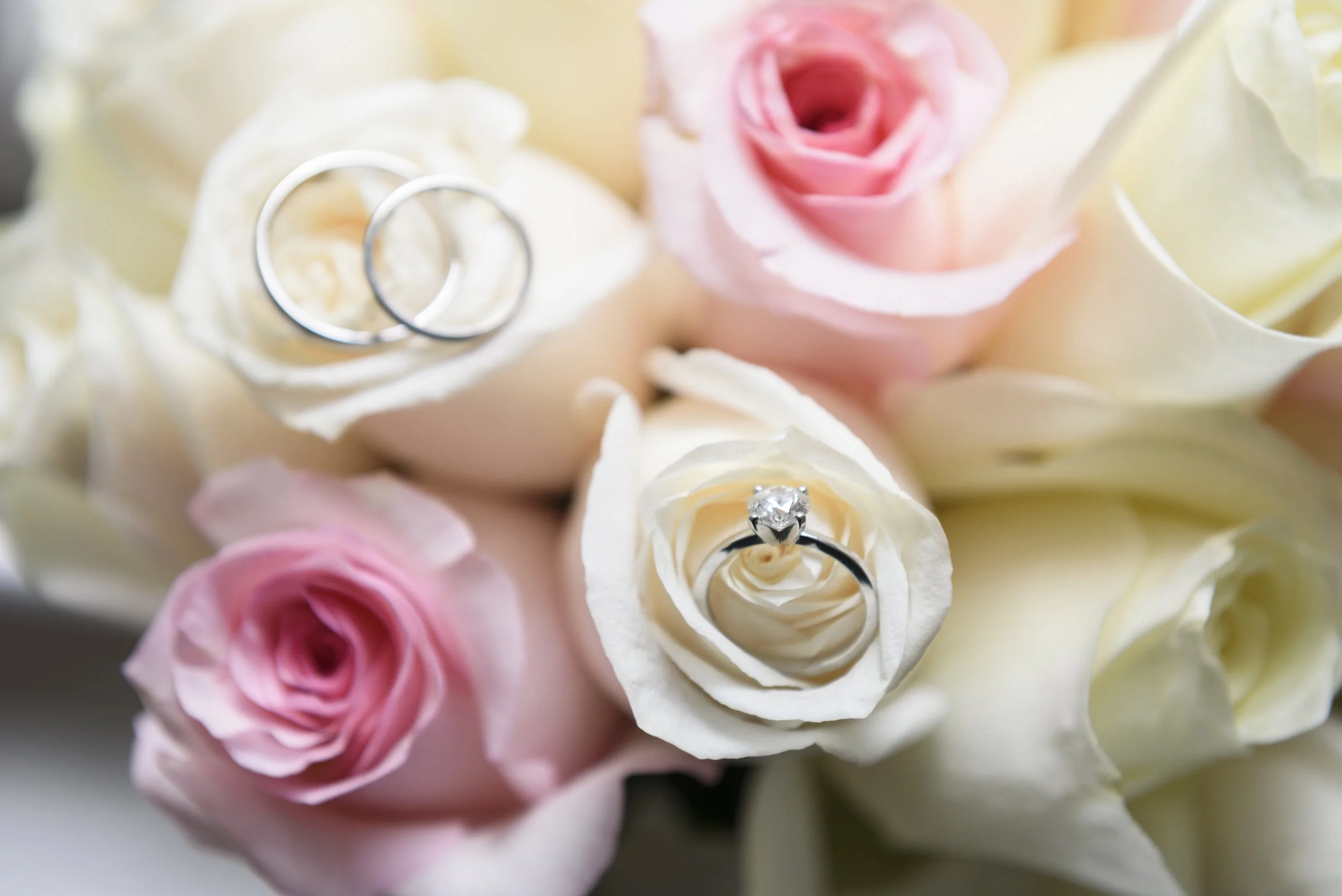 WeddingAllie&Ariel_by_RominaHendlin_002.jpg