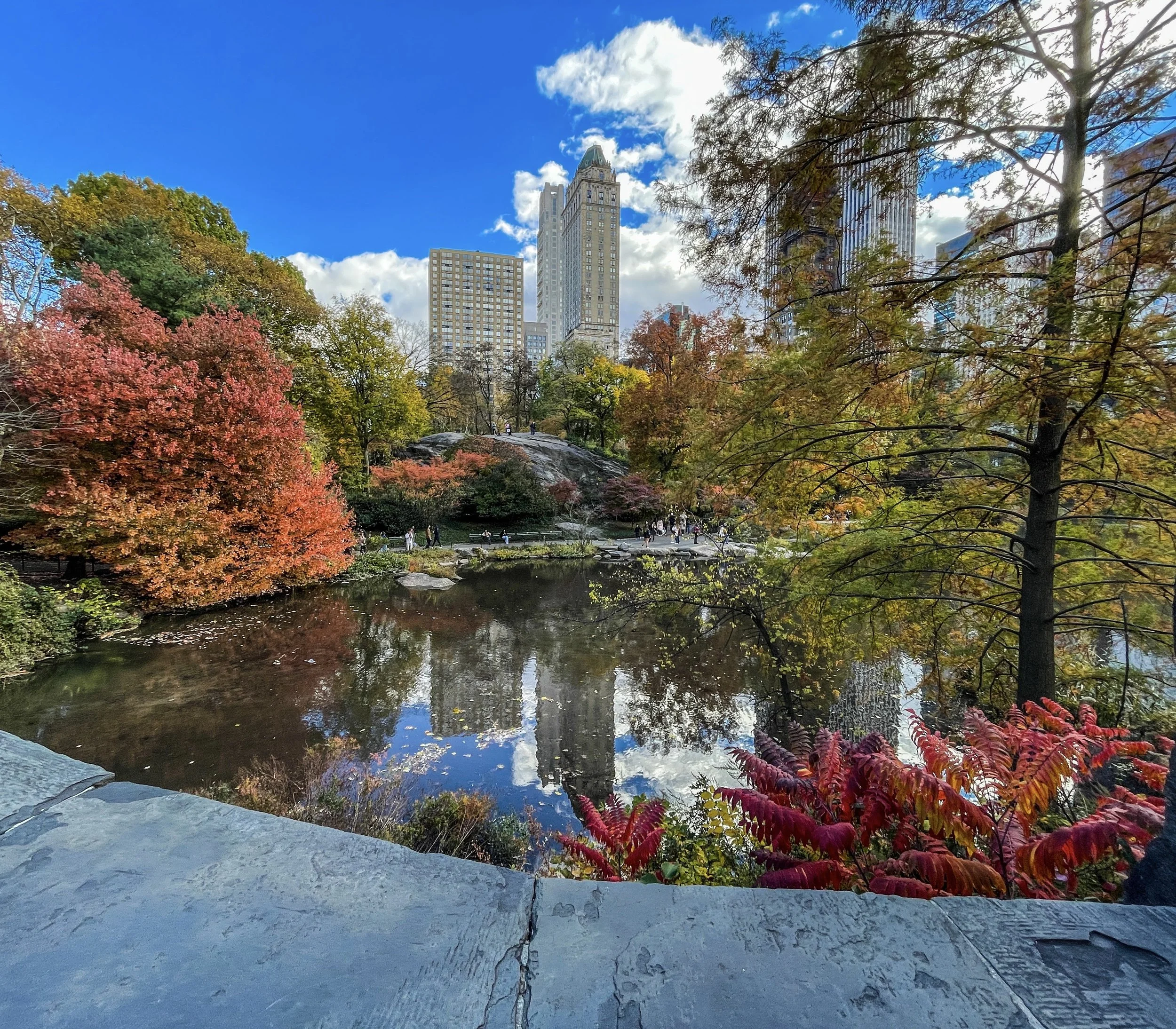  Central Park fall 