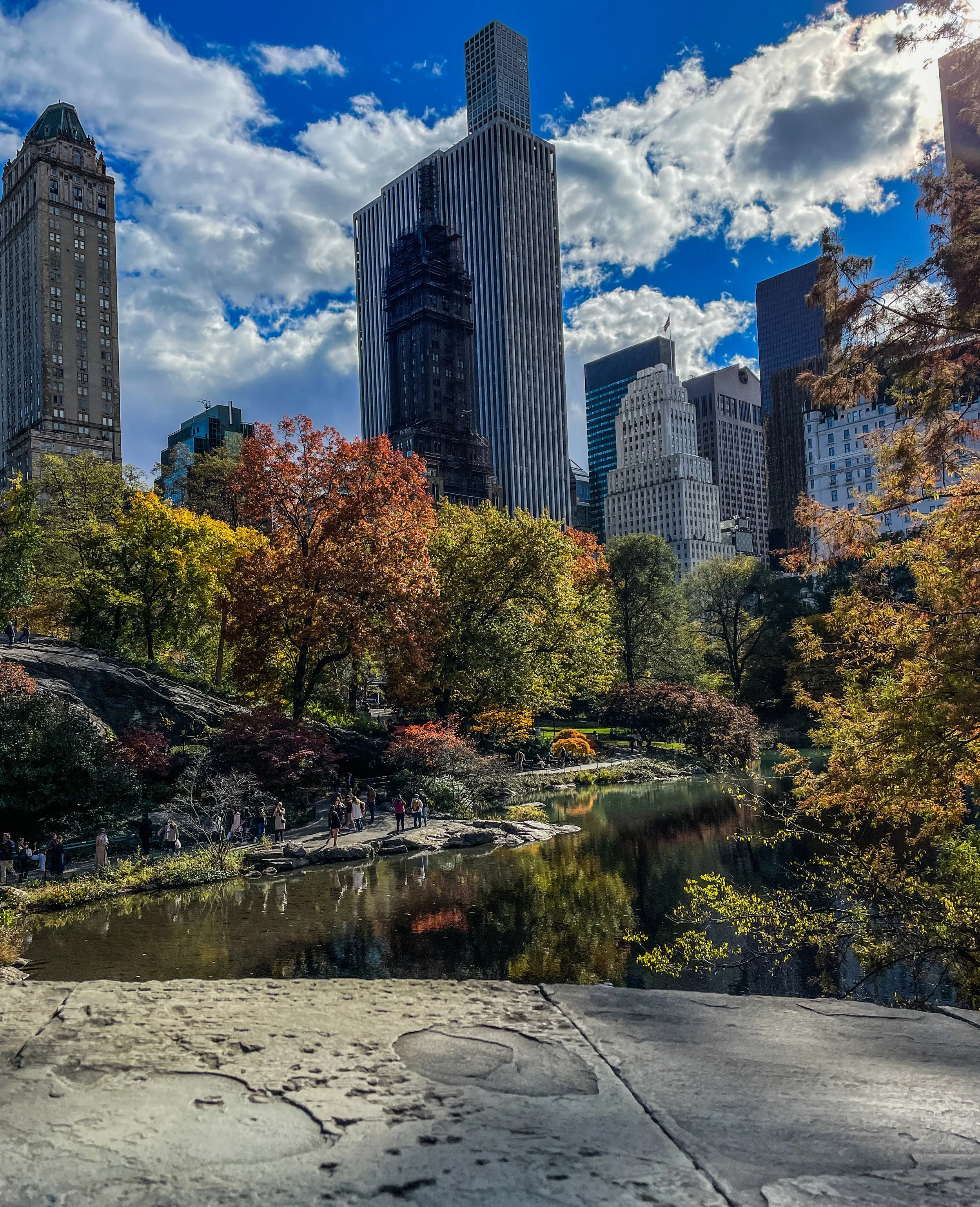  Central Park fall 