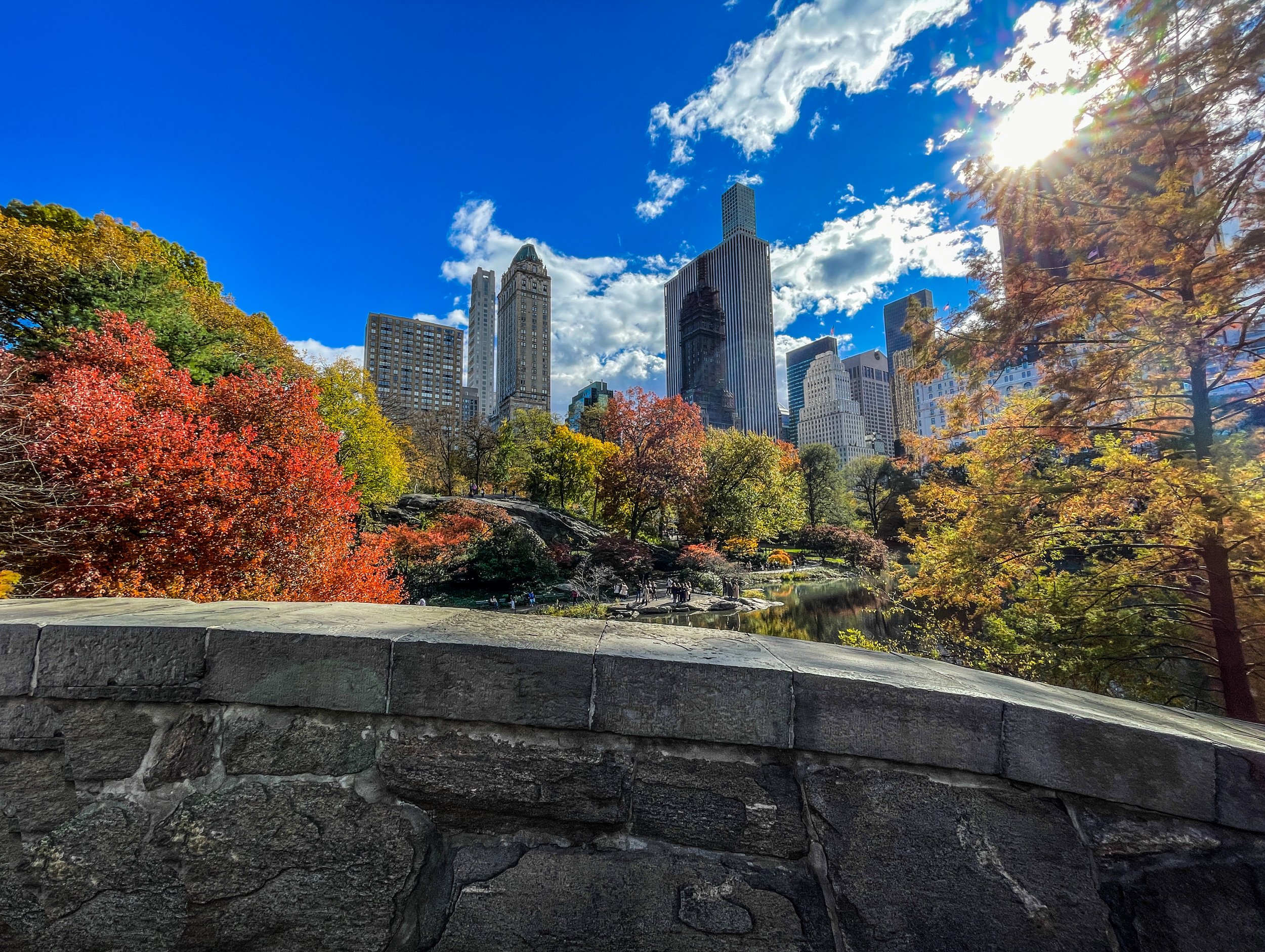 Central Park fall4.JPEG