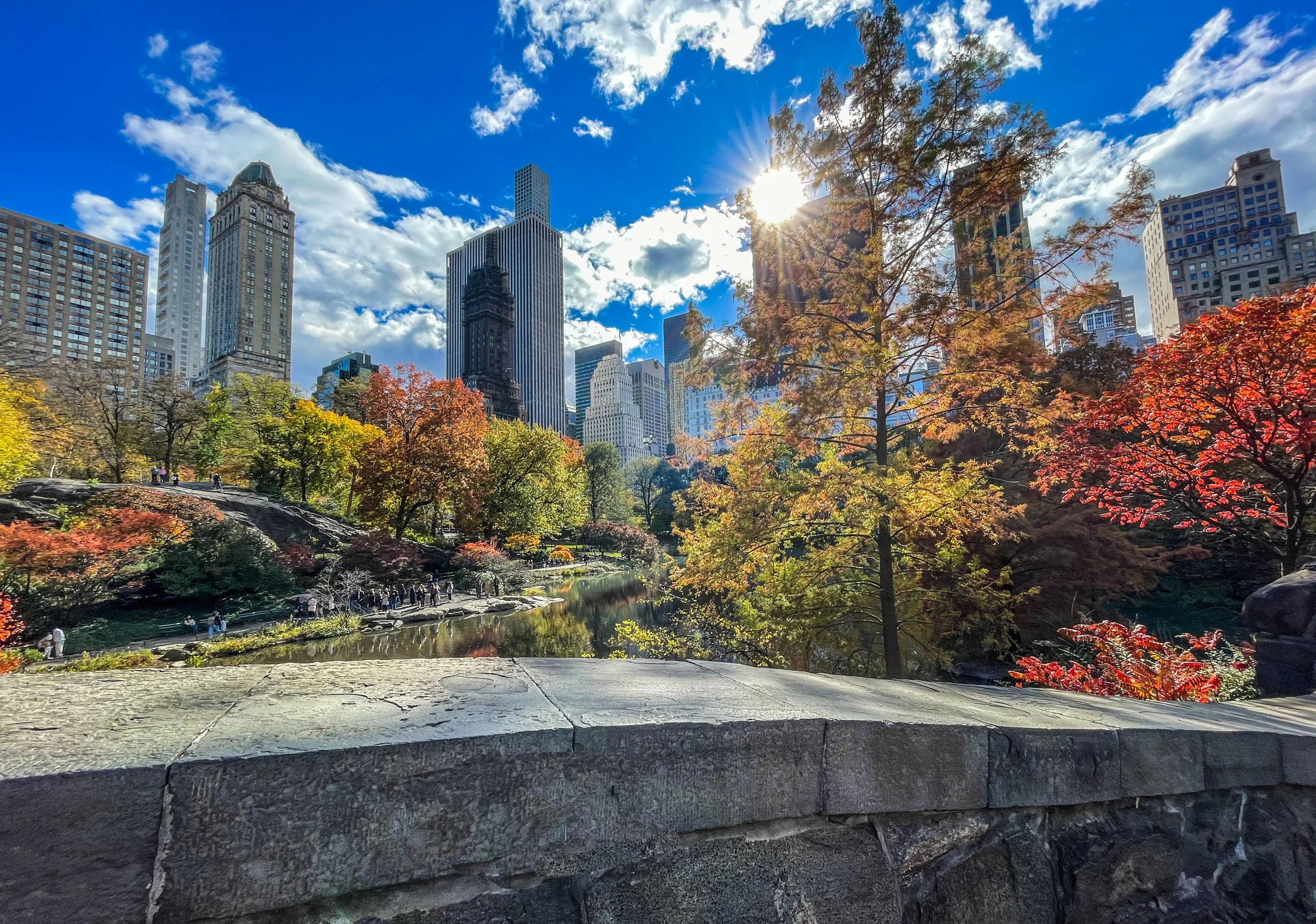 Central Park fall6.JPEG