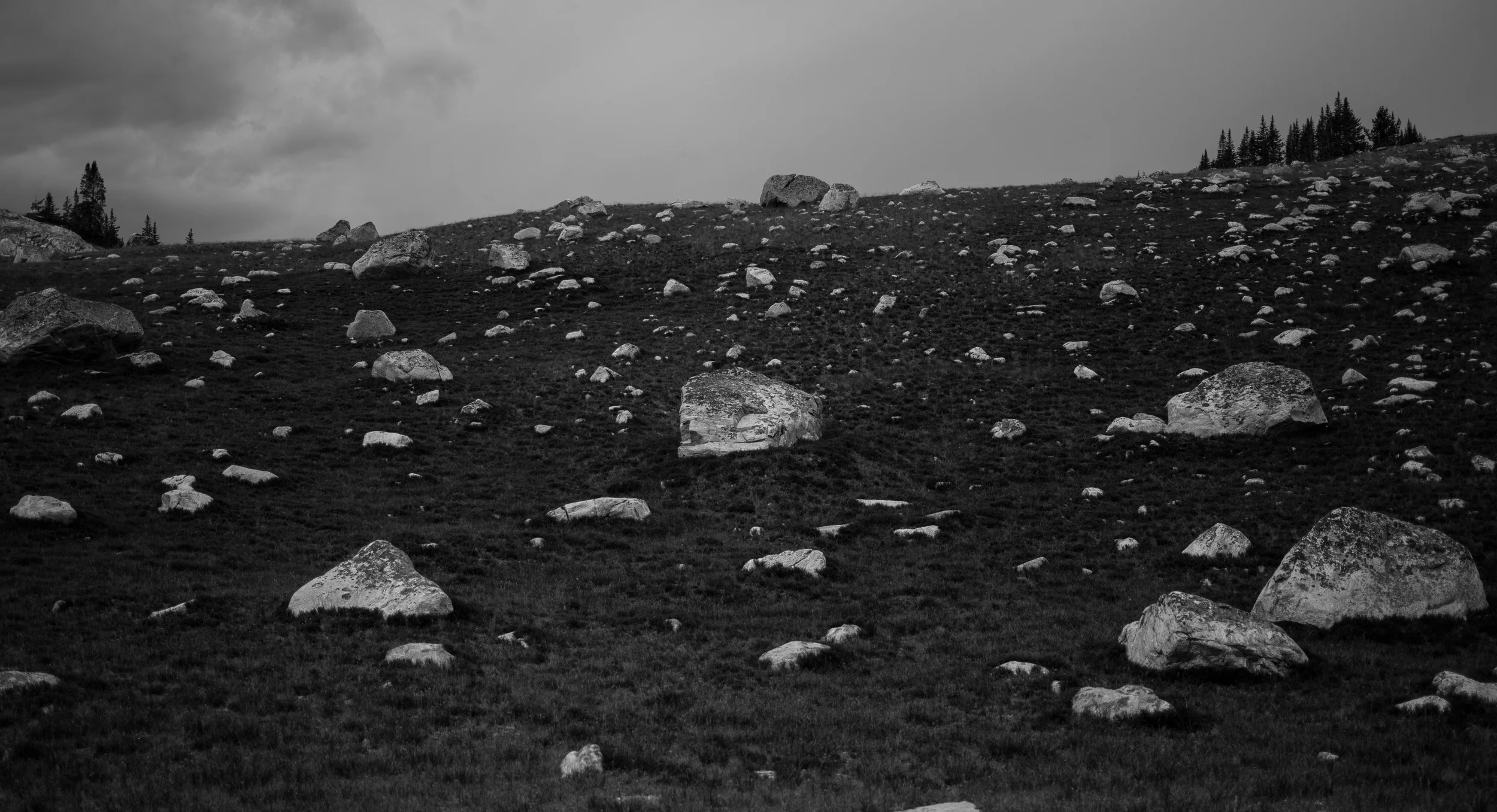 summer_2015-74.jpg