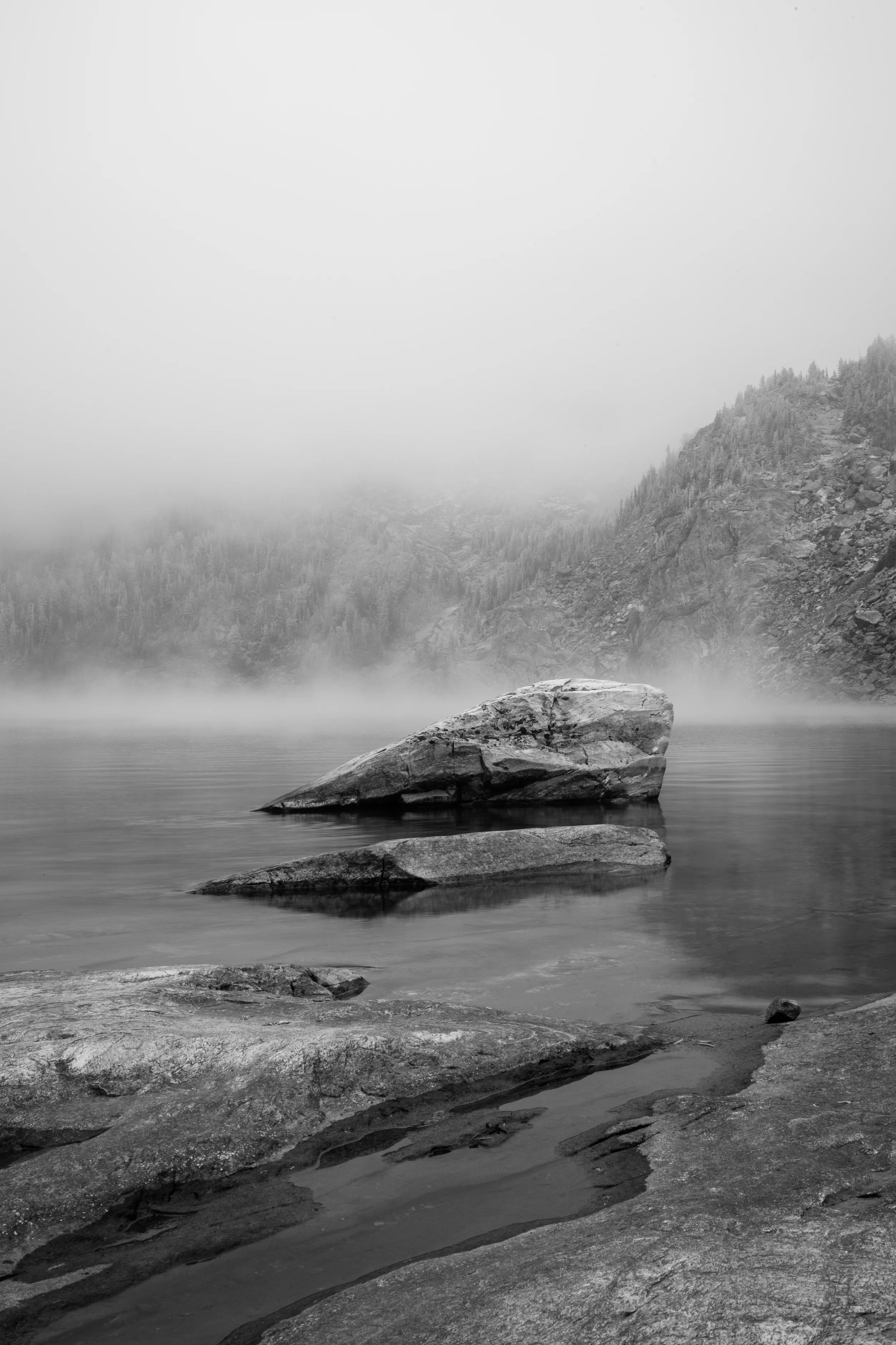 summer_2015-113.jpg
