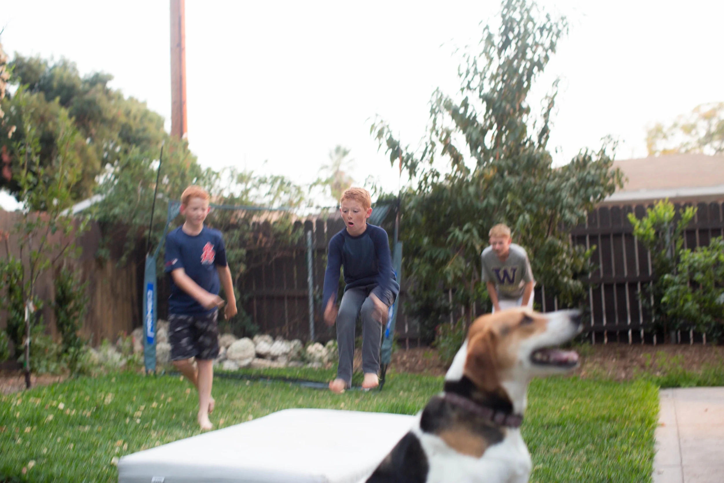 1116 - smith fam web -6836.jpg