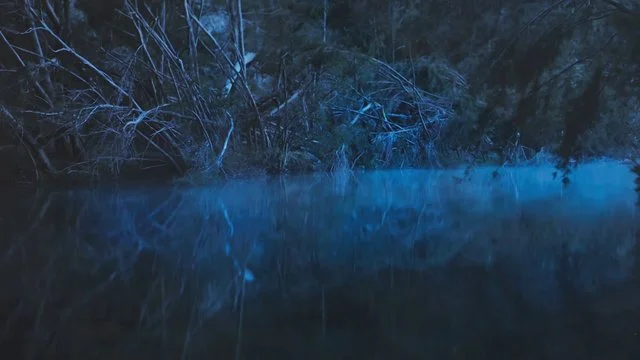 439912967_640.jpg