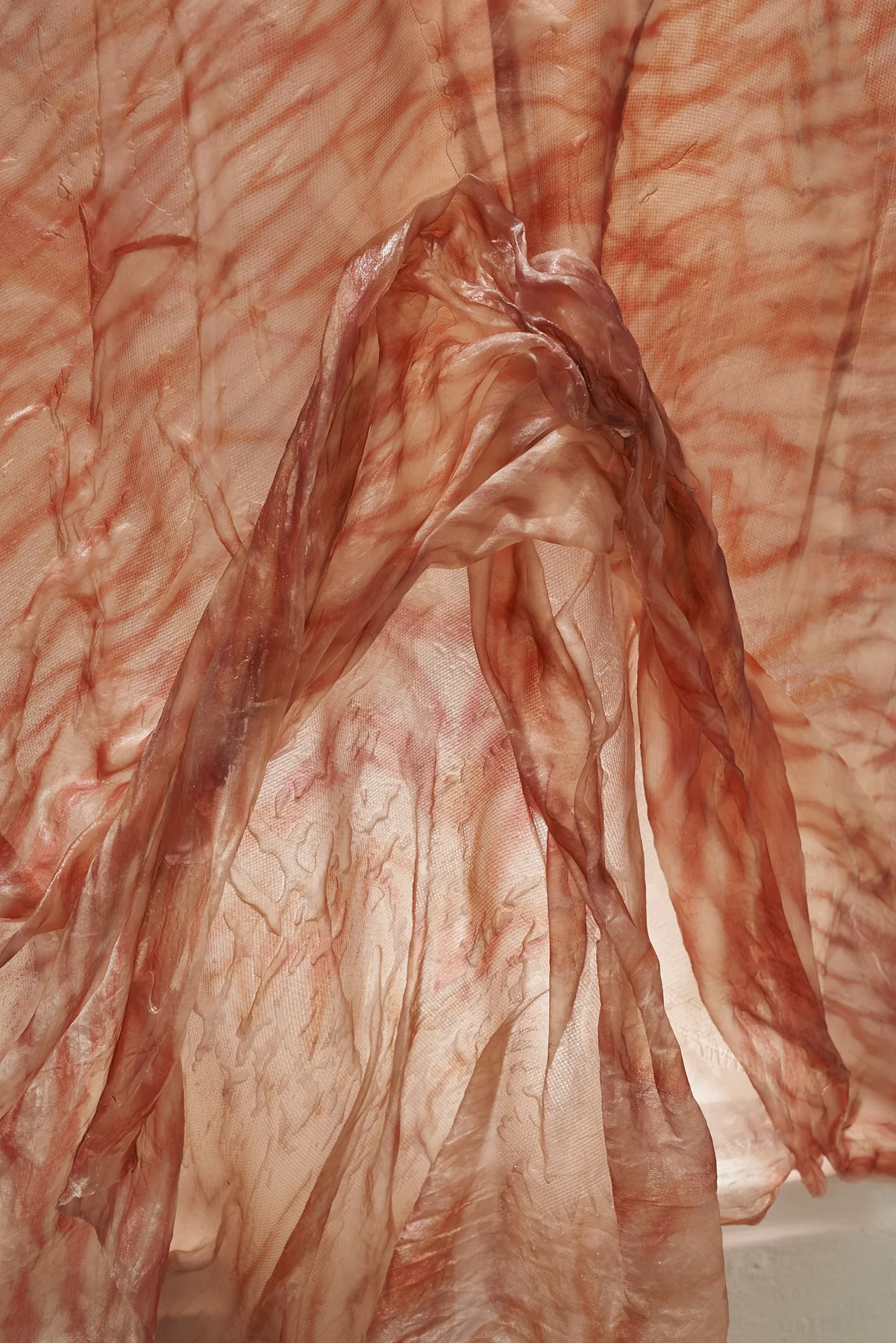 Veil