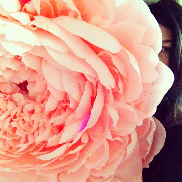 Screen shot 2015-02-16 at 10.11.50 PM.png