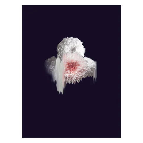 Fictitious Array I-small.jpg