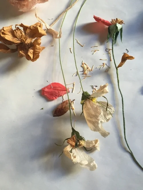 theends_stamen_cosmos_detail.jpg