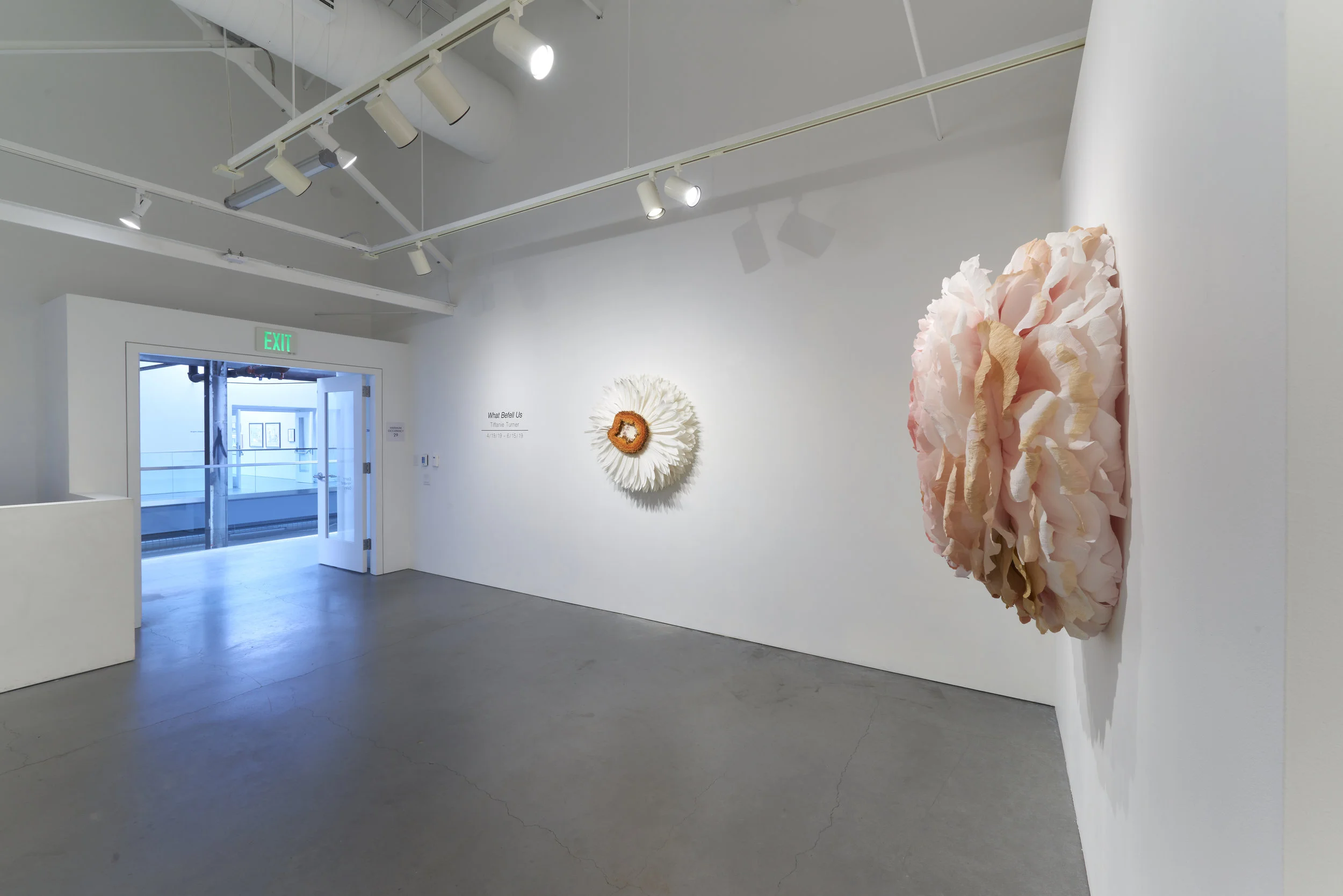 EHG190419-Tiffanie_Turner-Installation_View 22.jpg