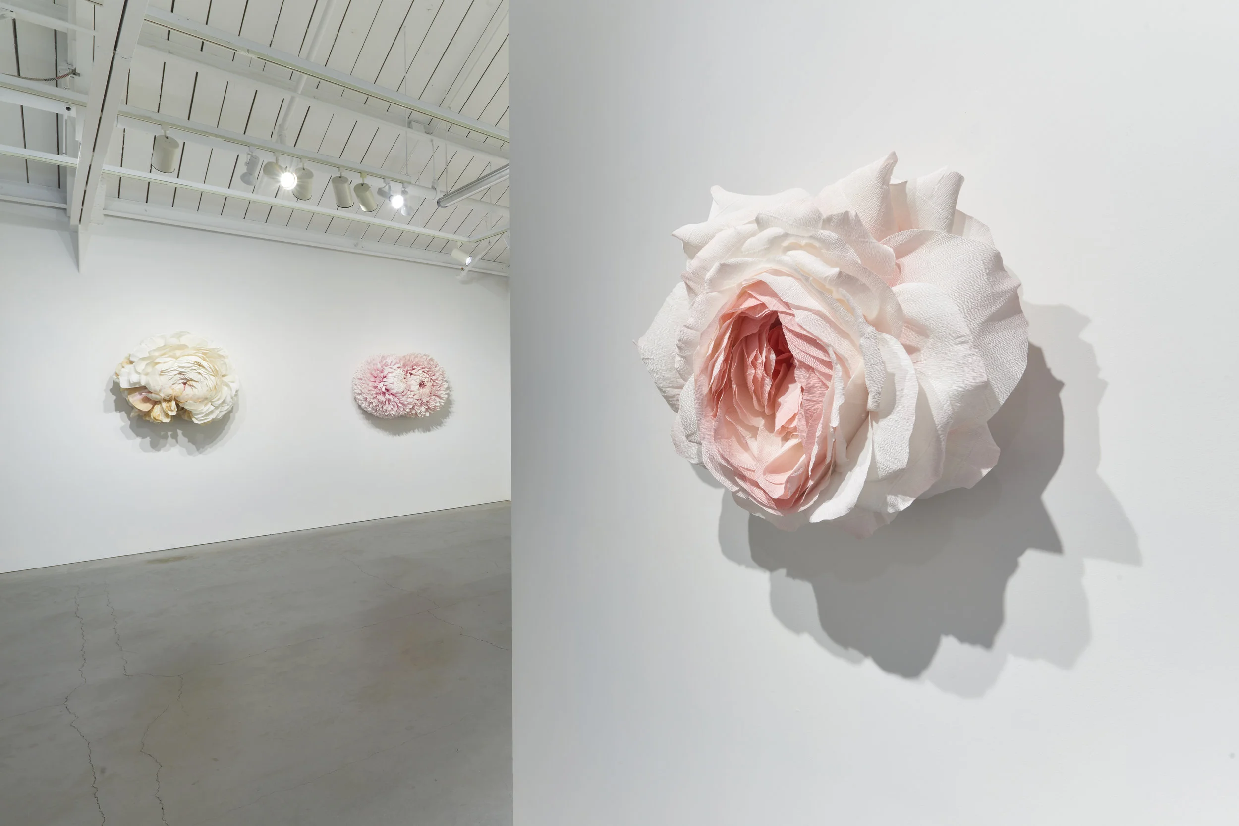 EHG190419-Tiffanie_Turner-Installation_View 23.jpg