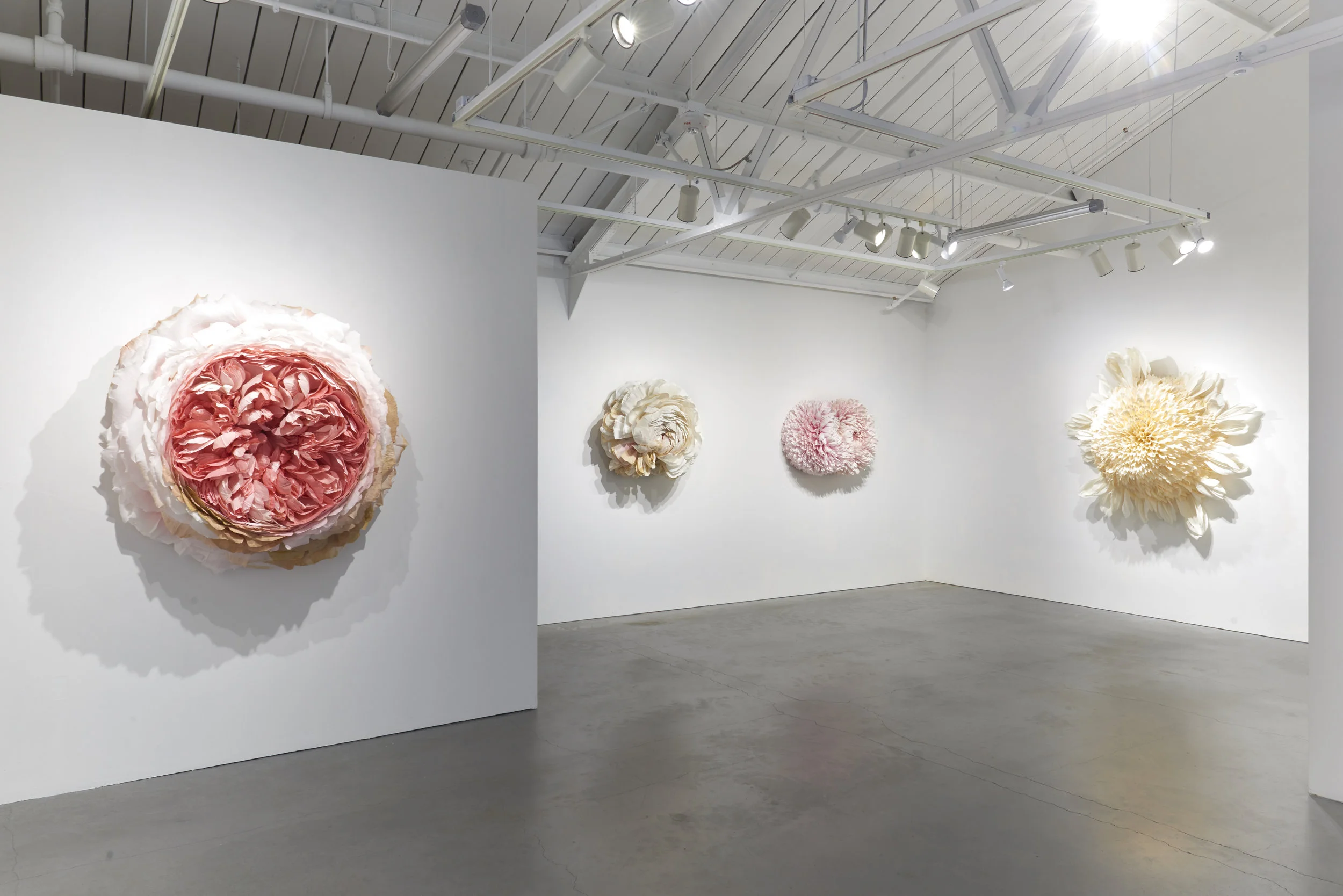 EHG190419-Tiffanie_Turner-Installation_View 5.jpg