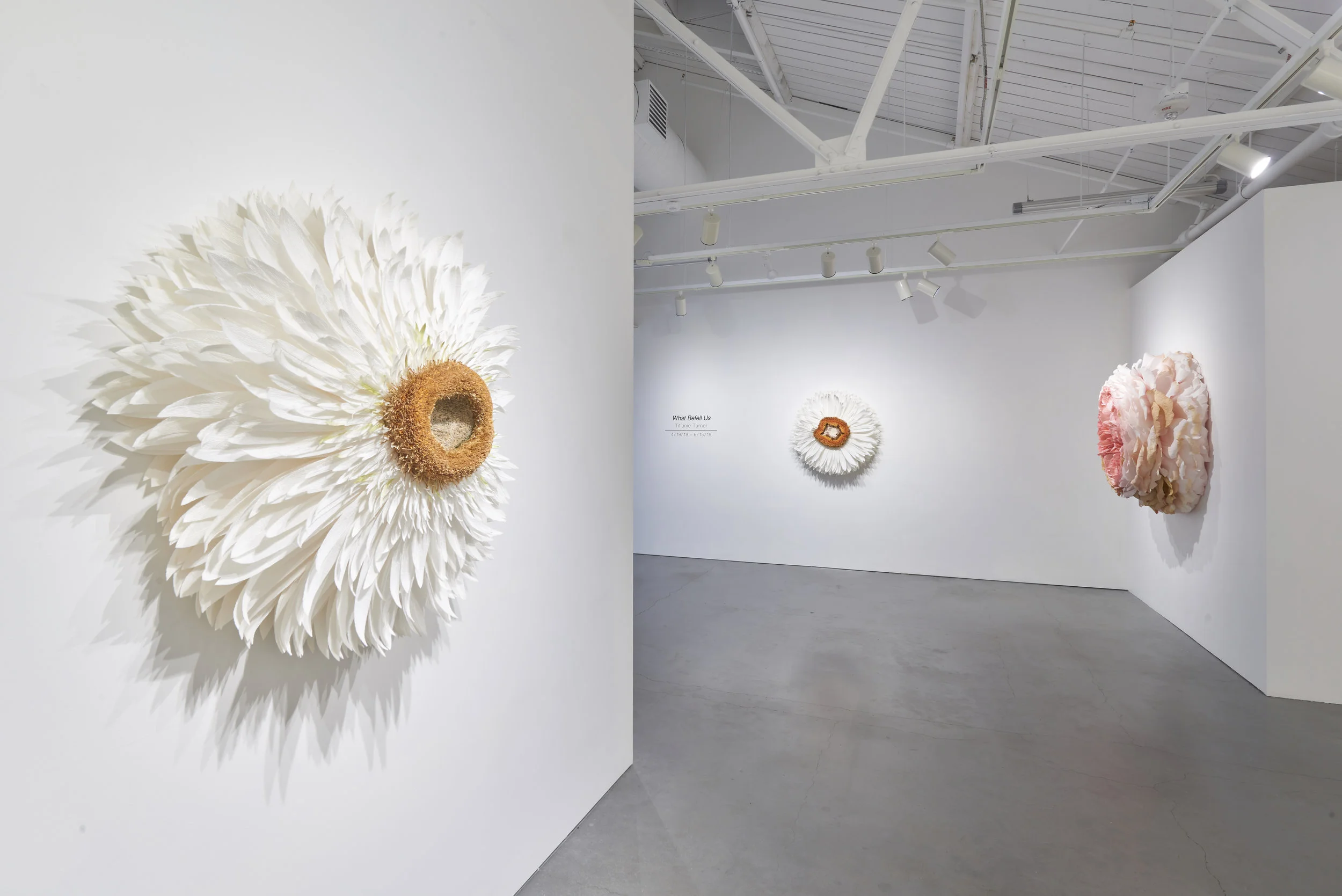 EHG190419-Tiffanie_Turner-Installation_View 27.jpg