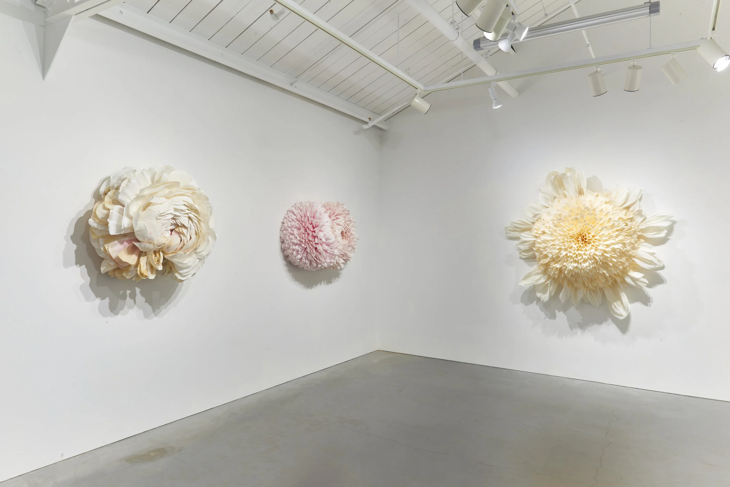 EHG190419-Tiffanie_Turner-Installation_View 10.jpg