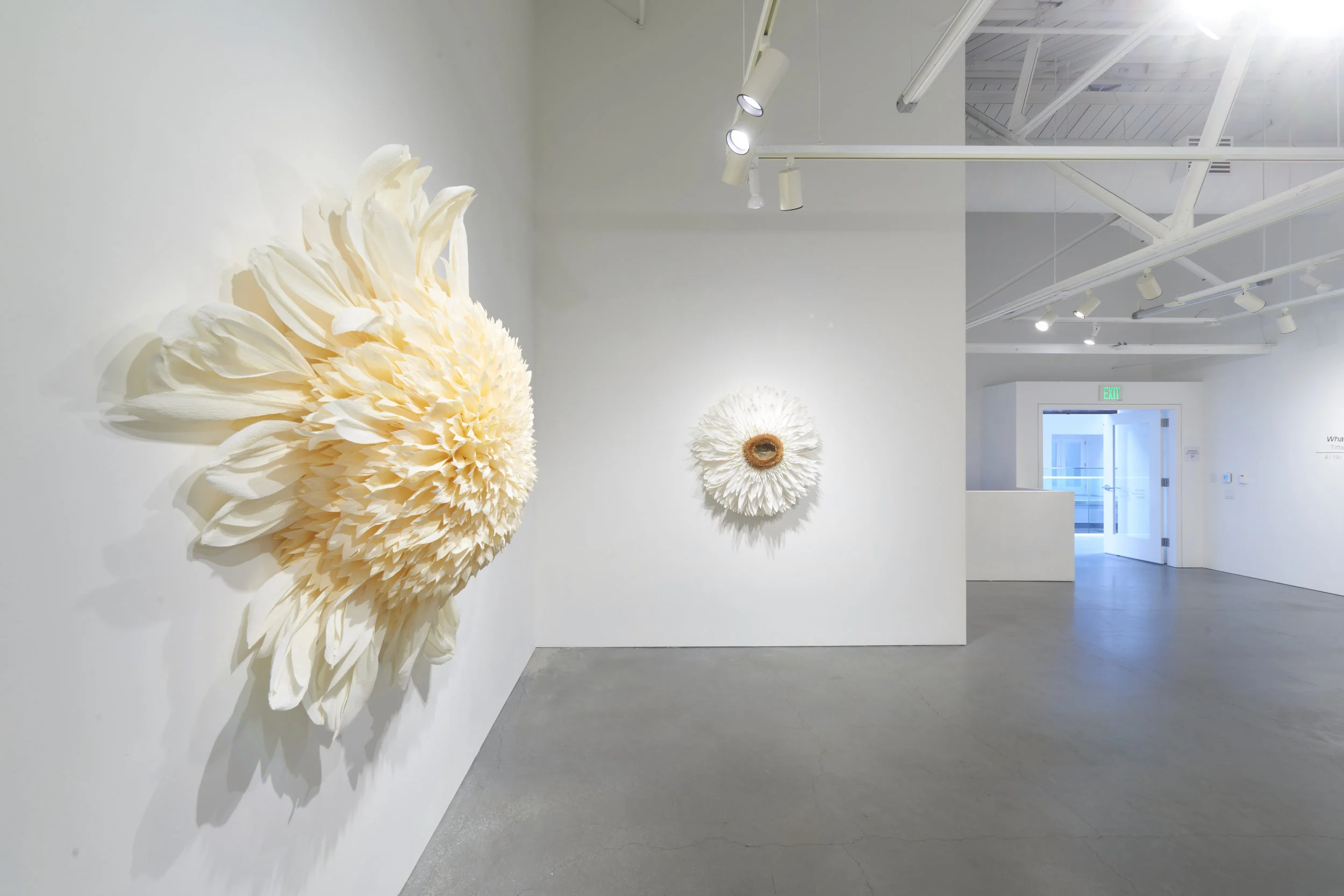 EHG190419-Tiffanie_Turner-Installation_View 19.jpg