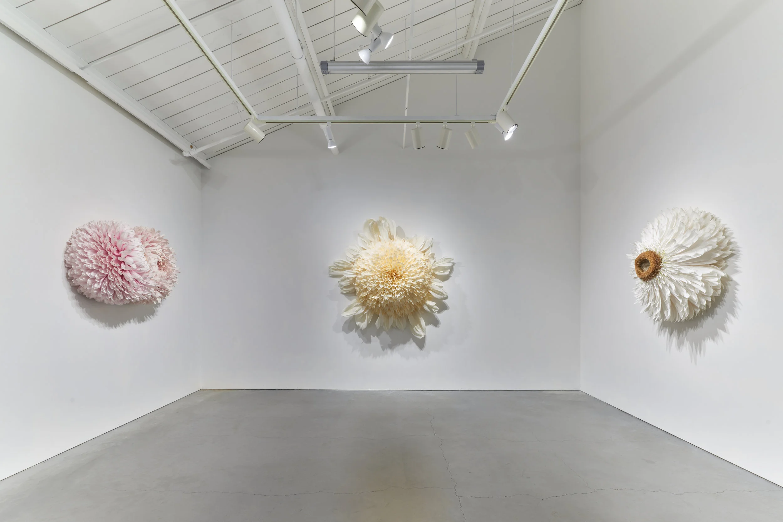 EHG190419-Tiffanie_Turner-Installation_View 12.jpg