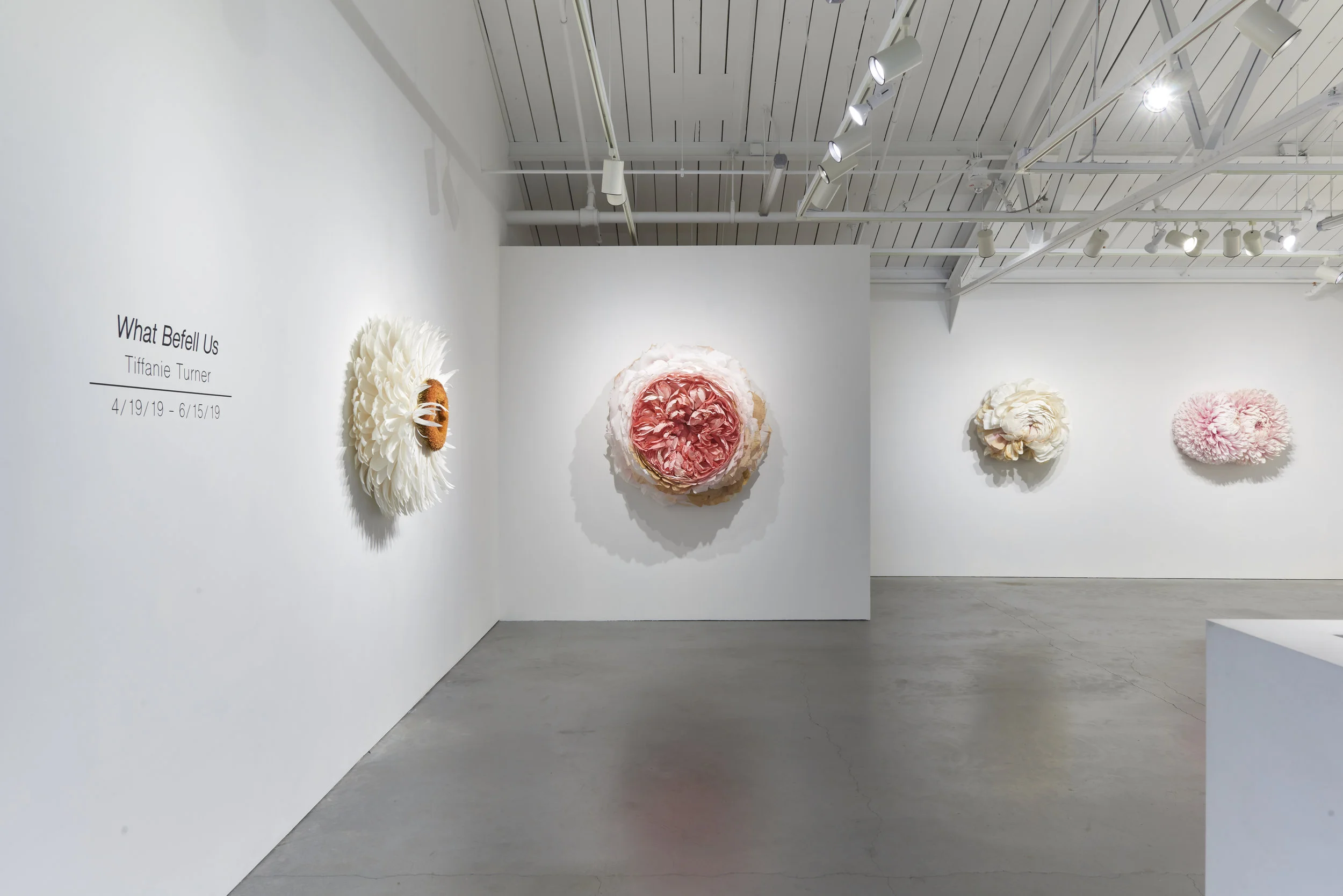EHG190419-Tiffanie_Turner-Installation_View 1.jpg
