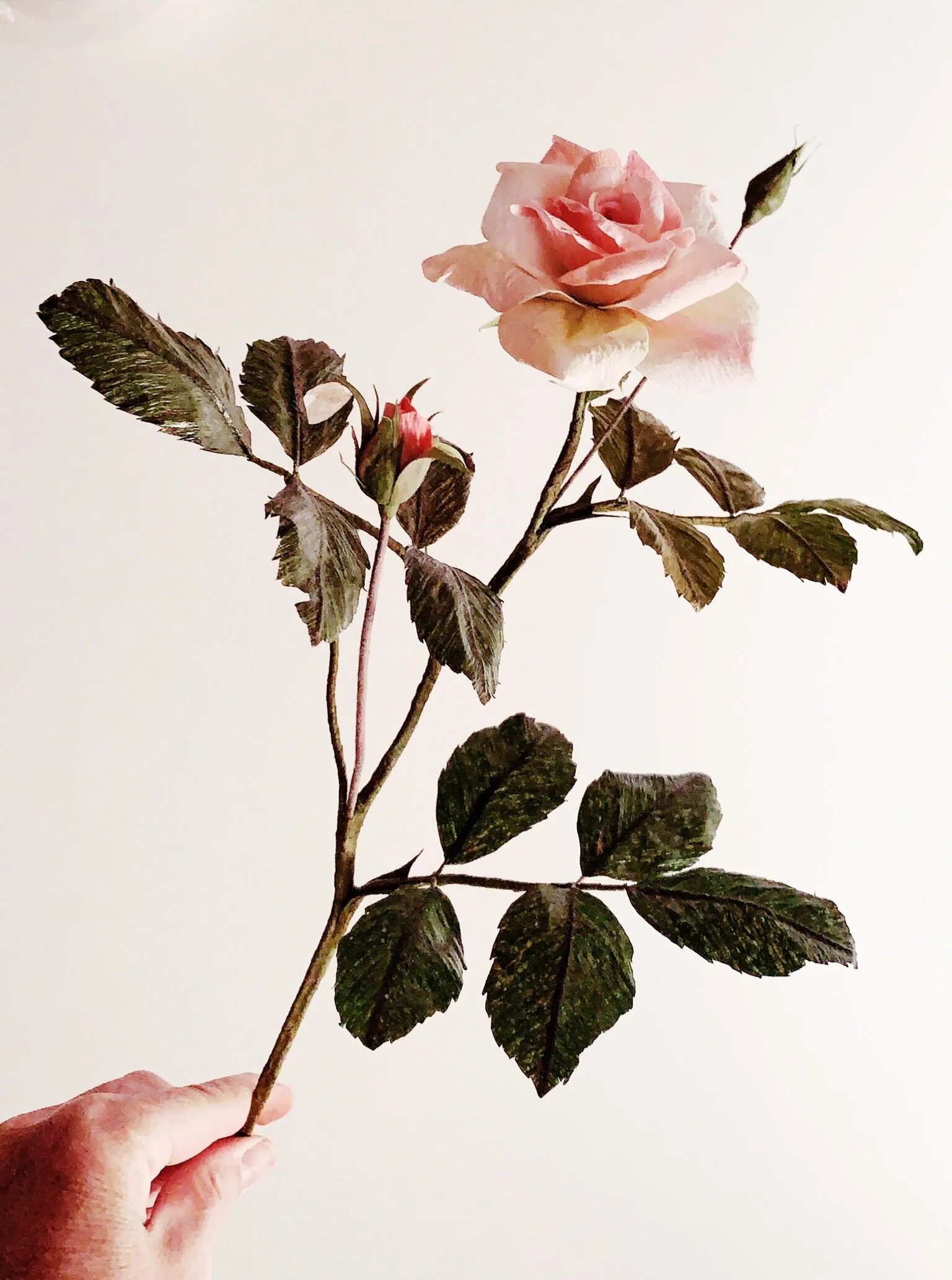 B8931857-E2A5-40AC-BE37-F727E26A2F18.jpeg