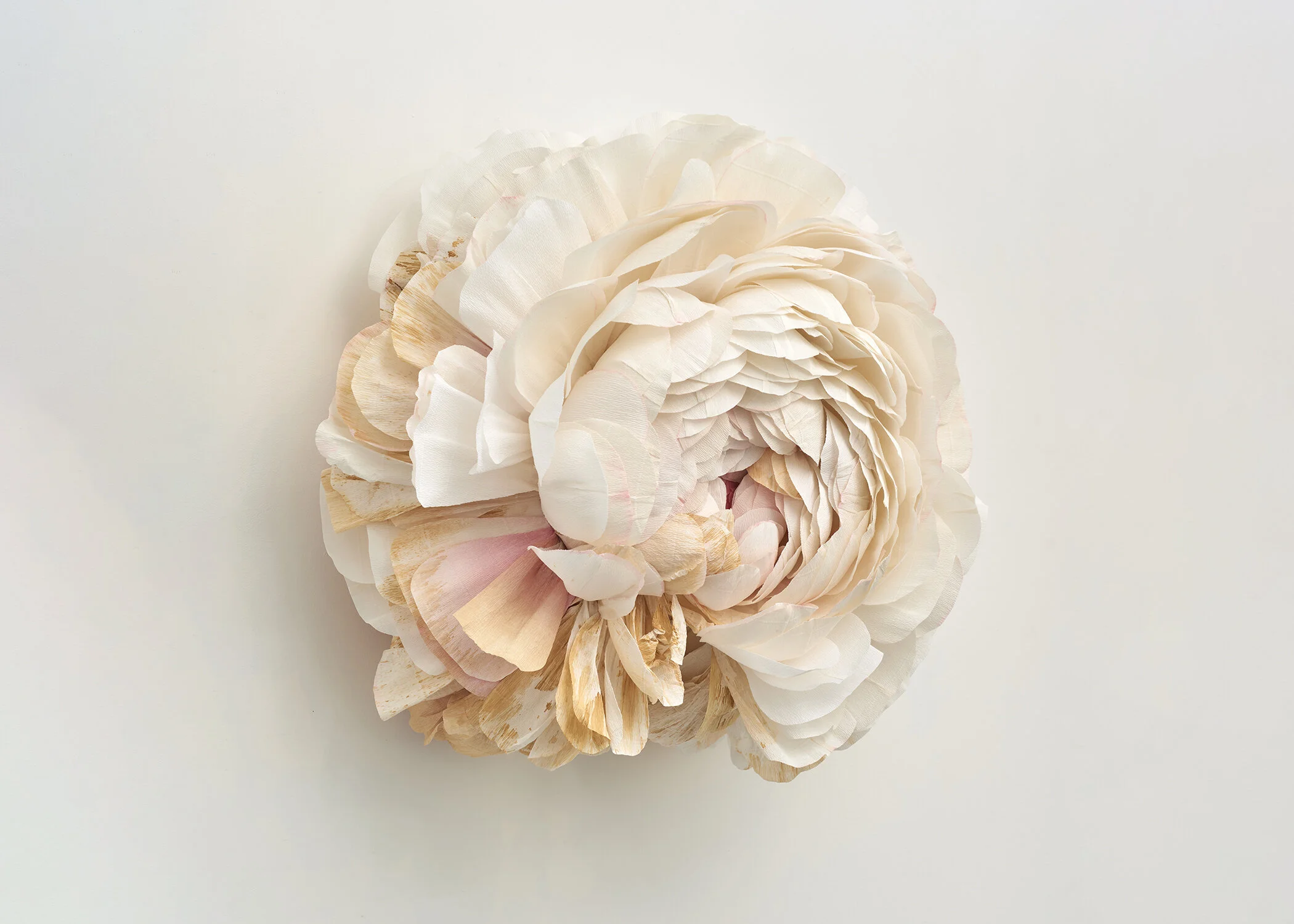 EHG190419-Tiffanie_Turner-Specimen_C-1-5x7.jpg