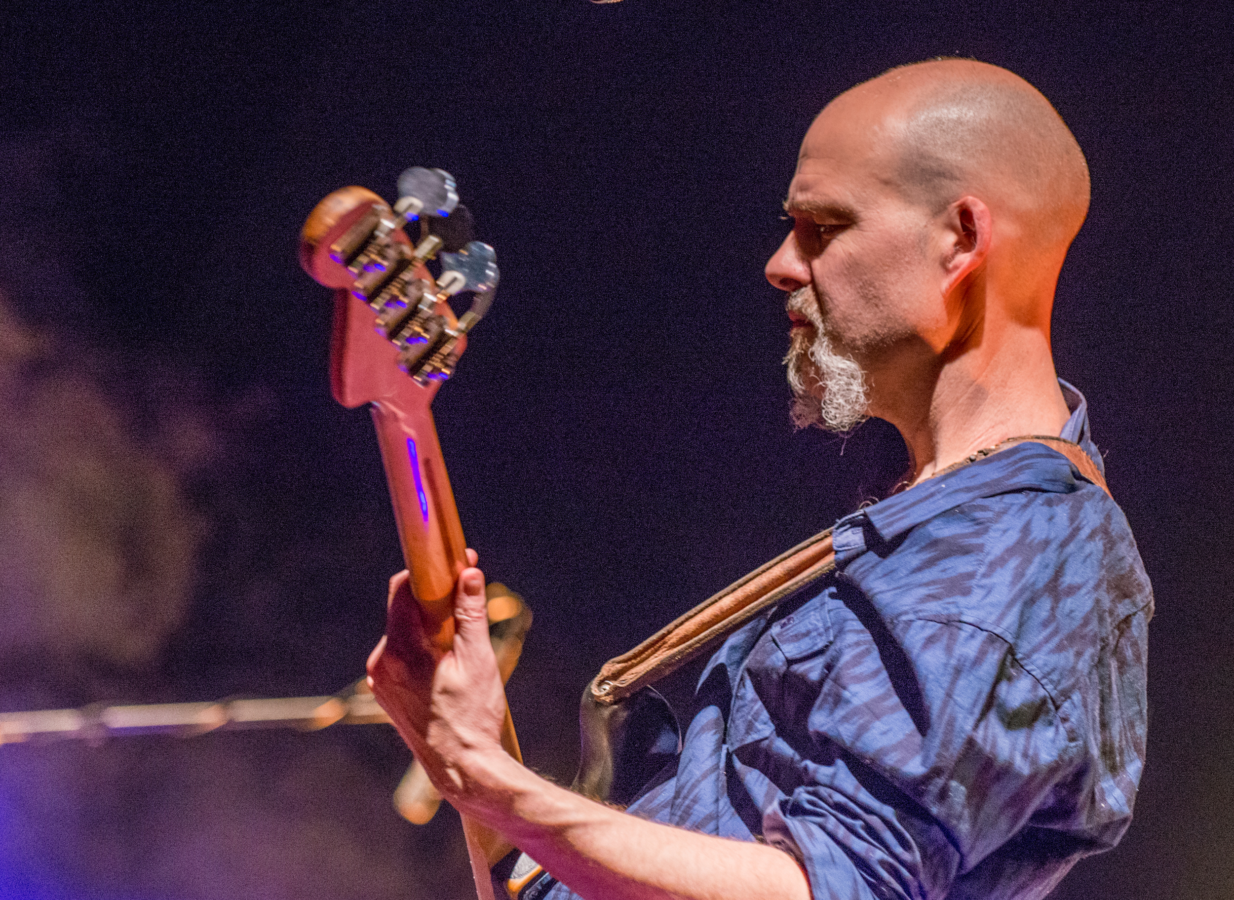 Photo by Donald Jay Olson